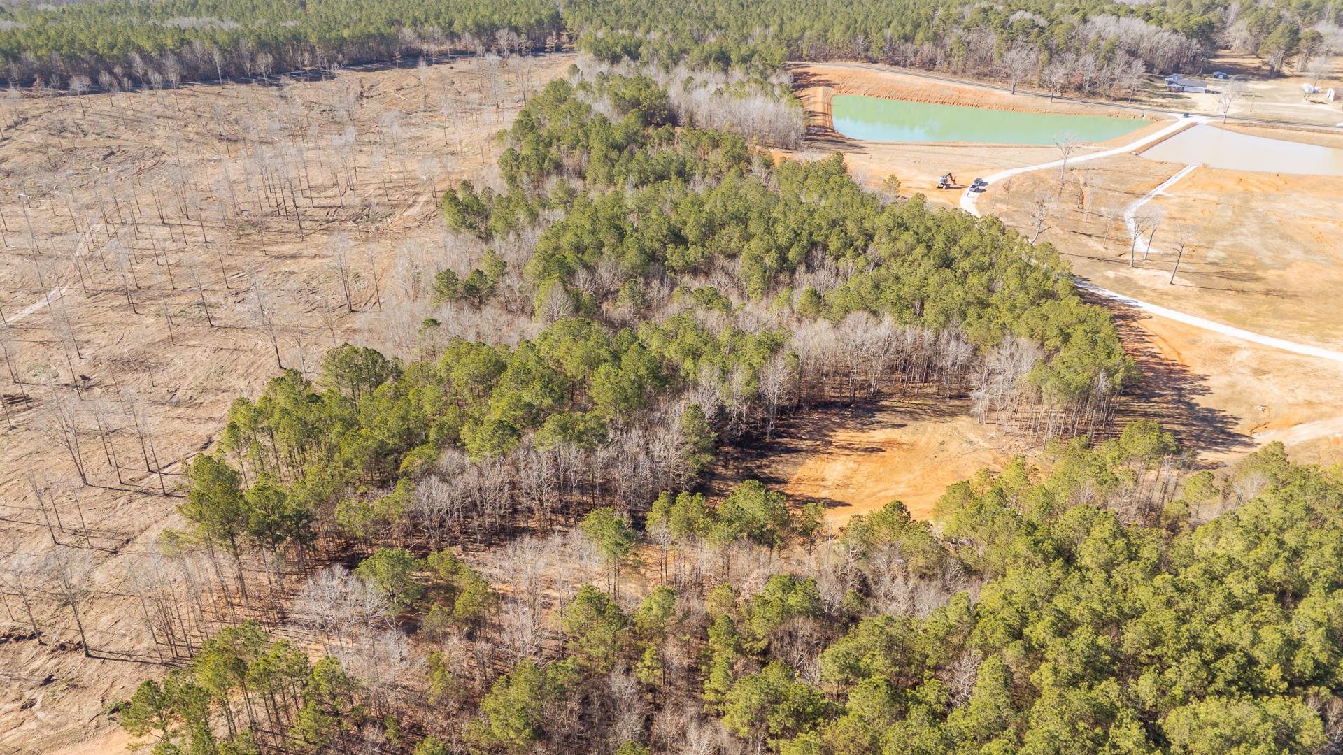 0 Kendrick & Hamburg Road Michie, TN 38357 - Photo 14 of 38 a view of a yard with trees