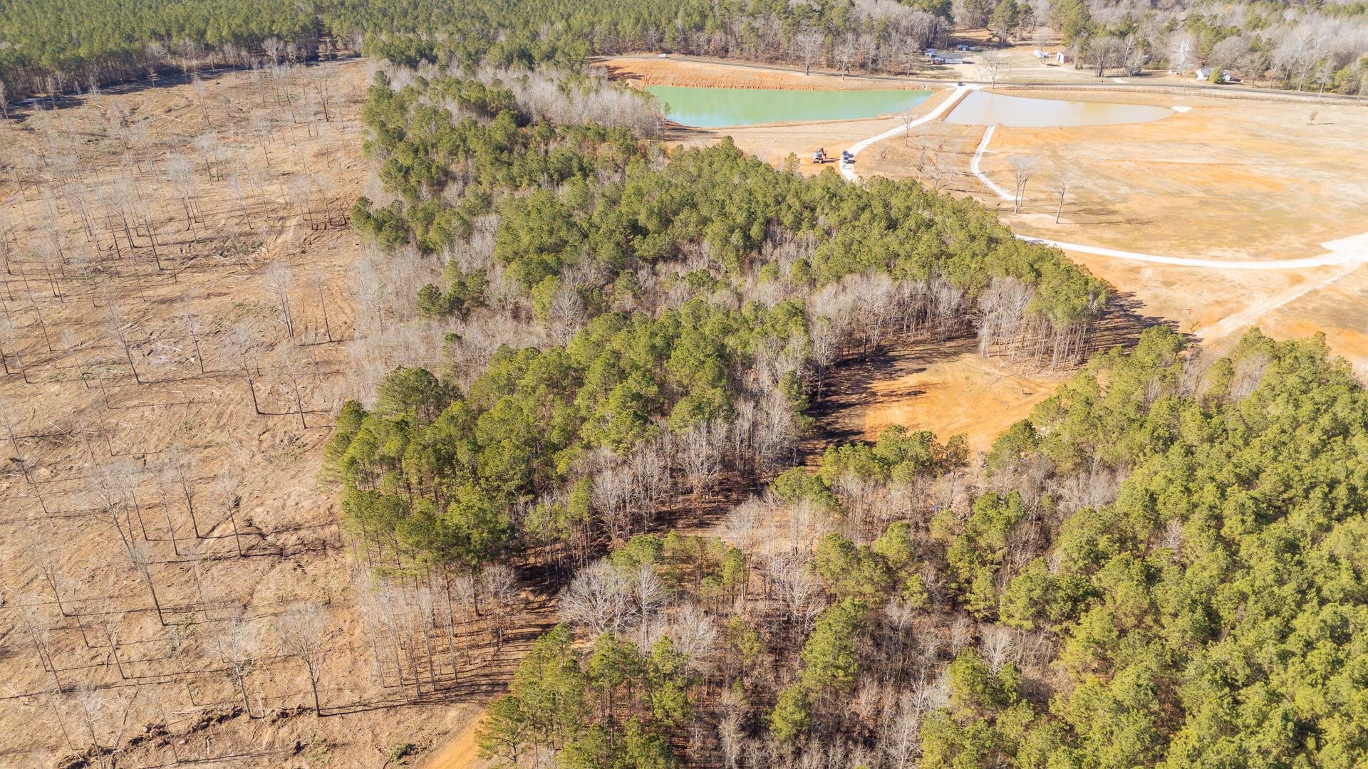 0 Kendrick & Hamburg Road Michie, TN 38357 - Photo 15 of 38 Bird's eye view of a heavily wooded area and a nearby body of water