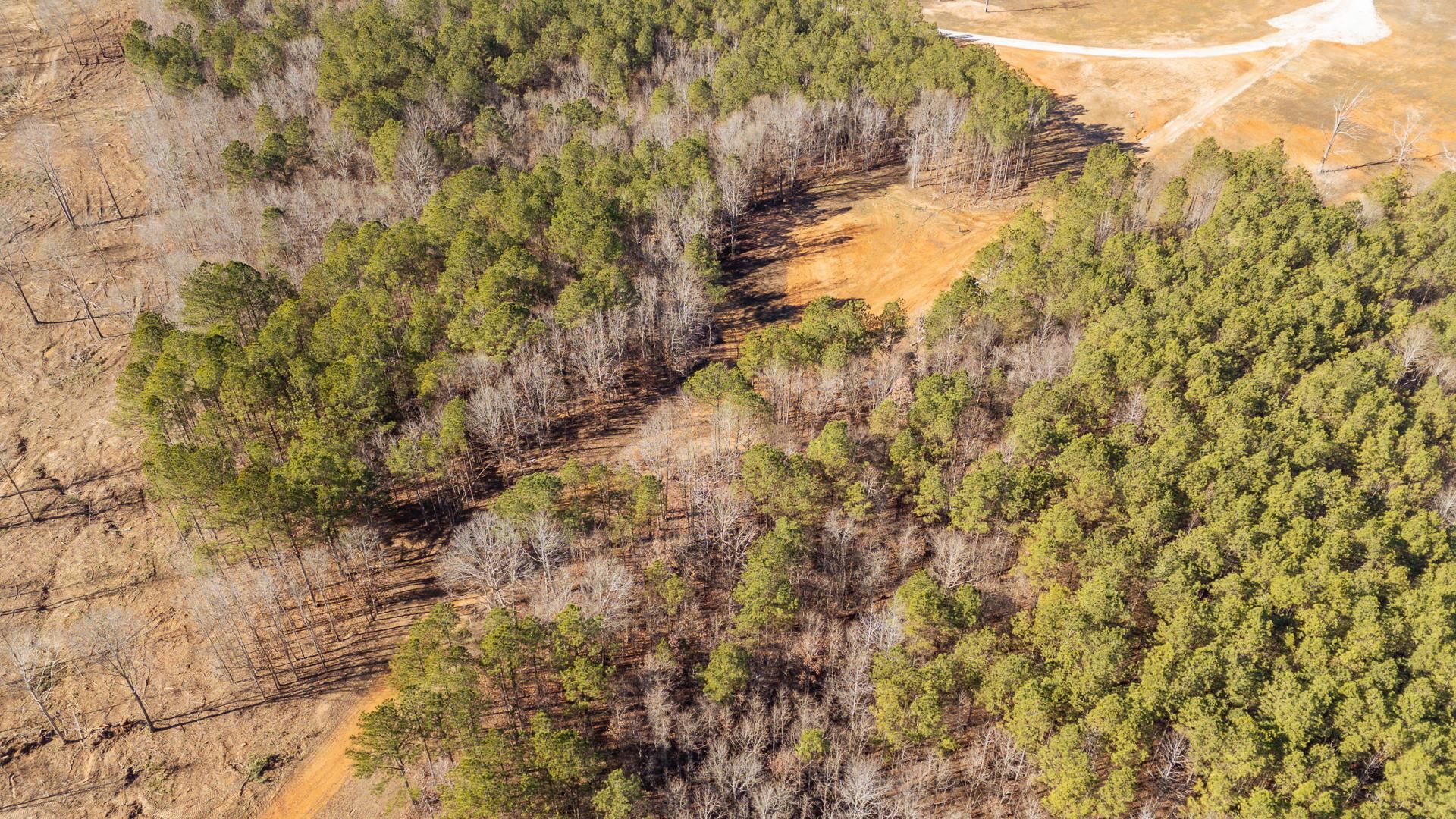 0 Kendrick & Hamburg Road Michie, TN 38357 - Photo 16 of 38 a view of a yard with a tree