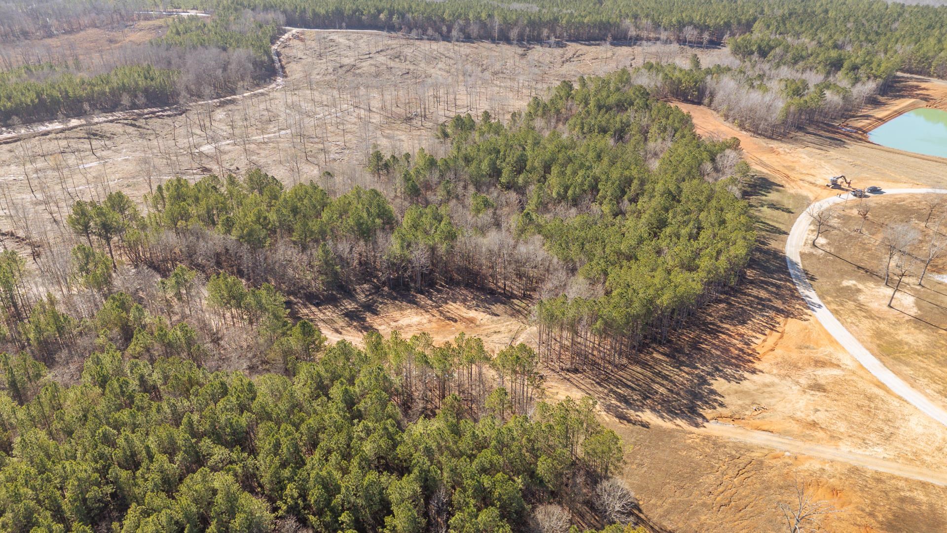 0 Kendrick & Hamburg Road Michie, TN 38357 - Photo 17 of 38 a view of a yard