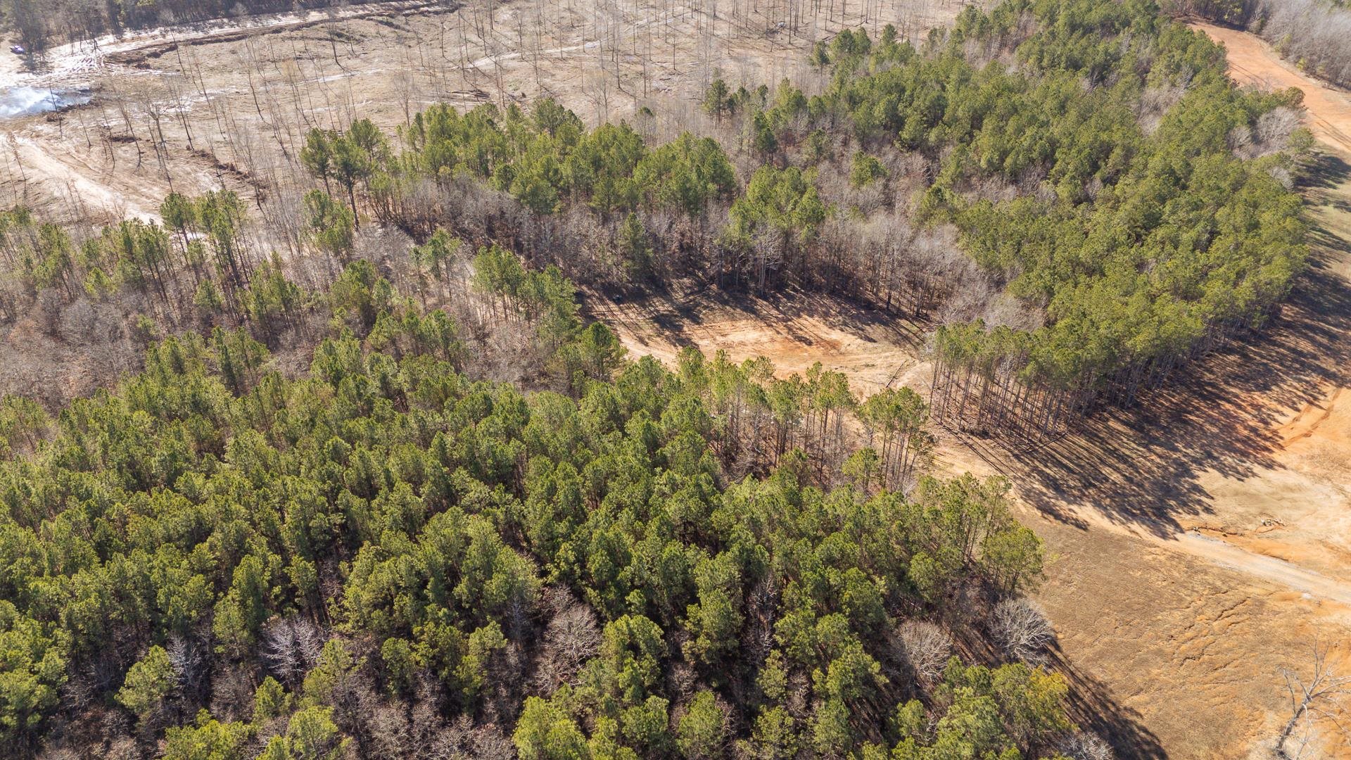 0 Kendrick & Hamburg Road Michie, TN 38357 - Photo 18 of 38 Aerial view