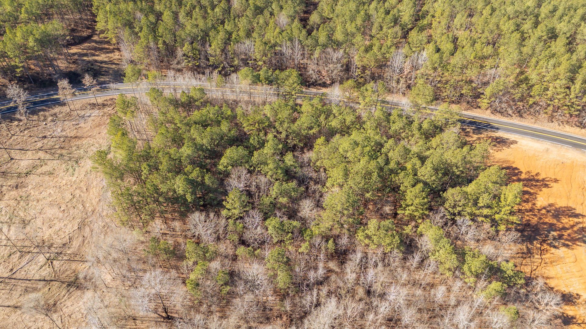 0 Kendrick & Hamburg Road Michie, TN 38357 - Photo 19 of 38 Aerial view of a heavily wooded area