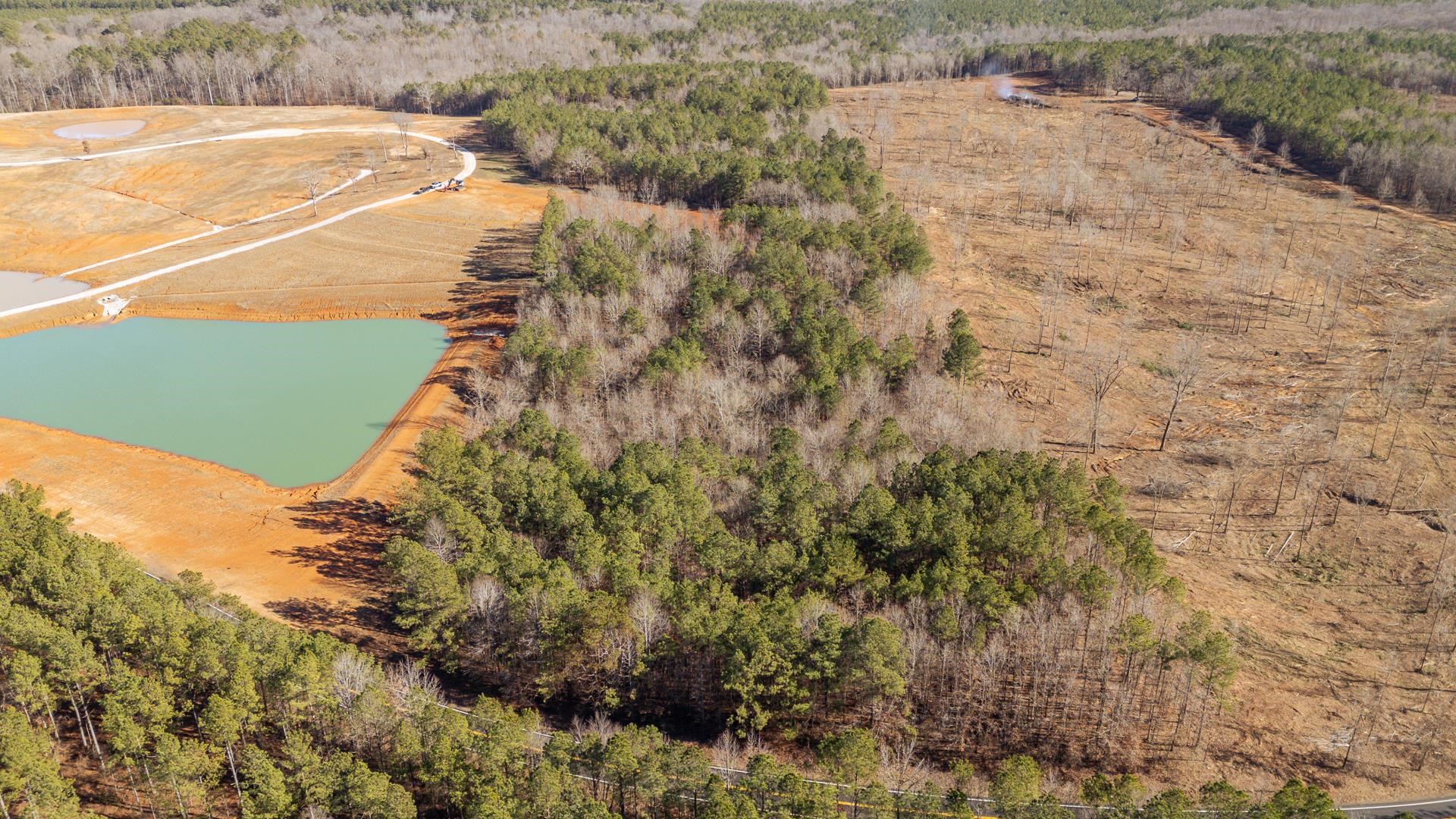 0 Kendrick & Hamburg Road Michie, TN 38357 - Photo 26 of 38 a view of a yard with an ocean view