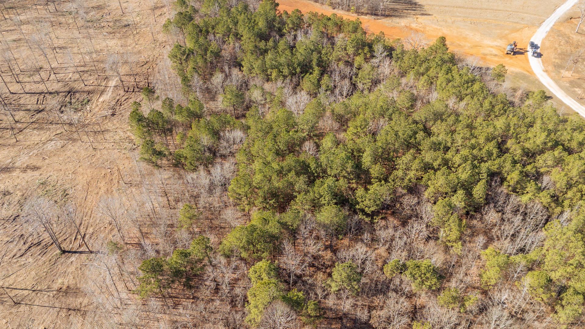 0 Kendrick & Hamburg Road Michie, TN 38357 - Photo 29 of 38 Aerial view