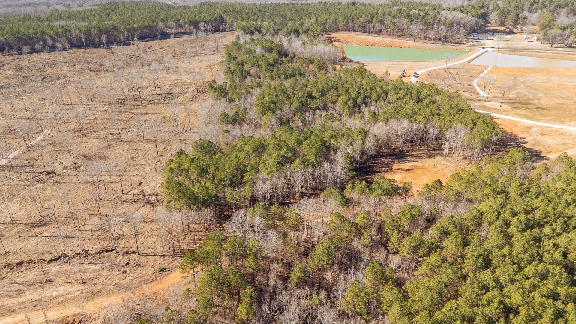0 Kendrick & Hamburg Road Michie, TN 38357 - Photo 30 of 38 Aerial view of a forest