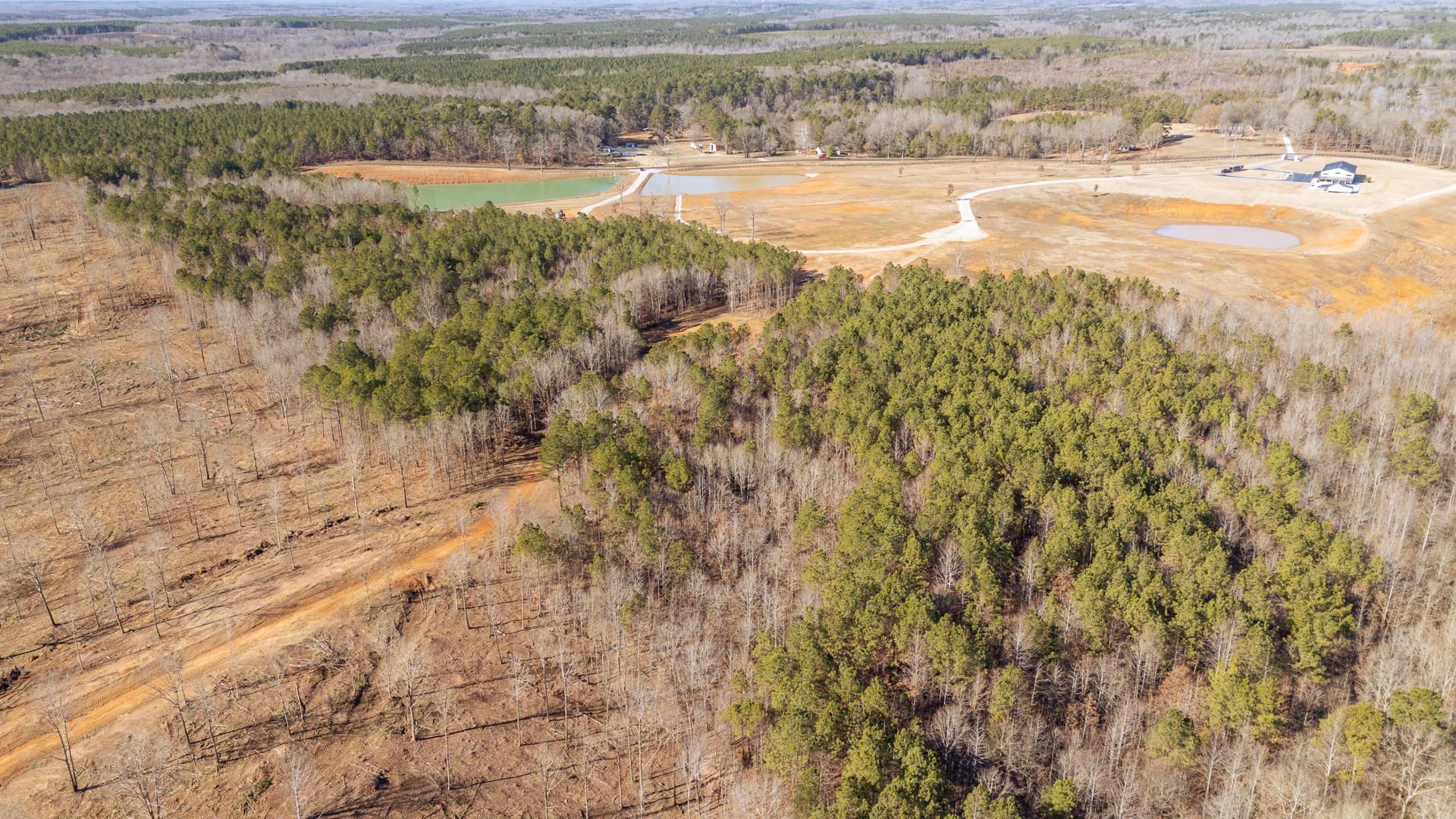 0 Kendrick & Hamburg Road Michie, TN 38357 - Photo 31 of 38 Aerial view of property and surrounding area with a heavily wooded area