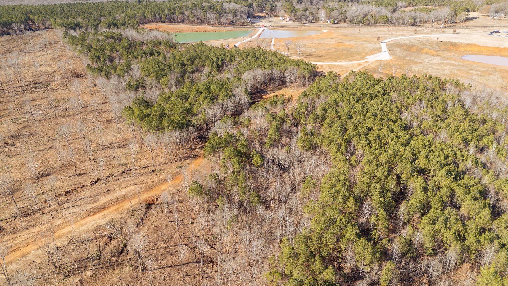 0 Kendrick & Hamburg Road Michie, TN 38357 - Photo 32 of 38 Drone / aerial view of a nearby body of water and a forest