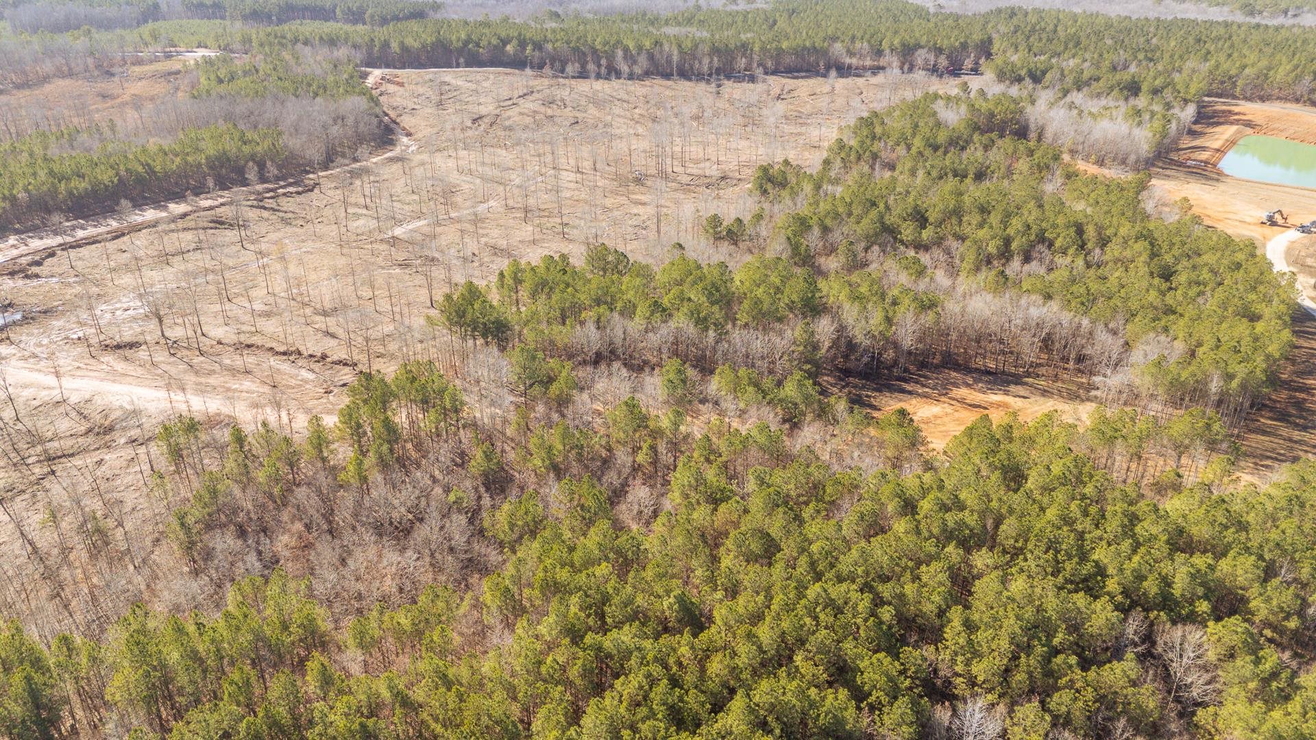 0 Kendrick & Hamburg Road Michie, TN 38357 - Photo 33 of 38 Drone / aerial view of a forest