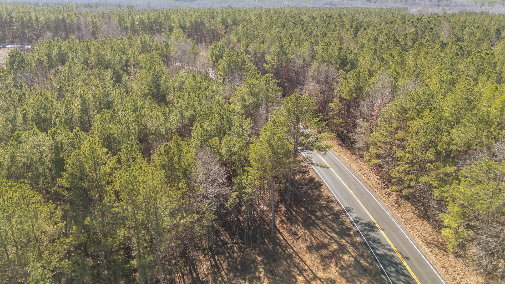 0 Kendrick & Hamburg Road Michie, TN 38357 - Photo 34 of 38 a view of a dry yard with wooden fence