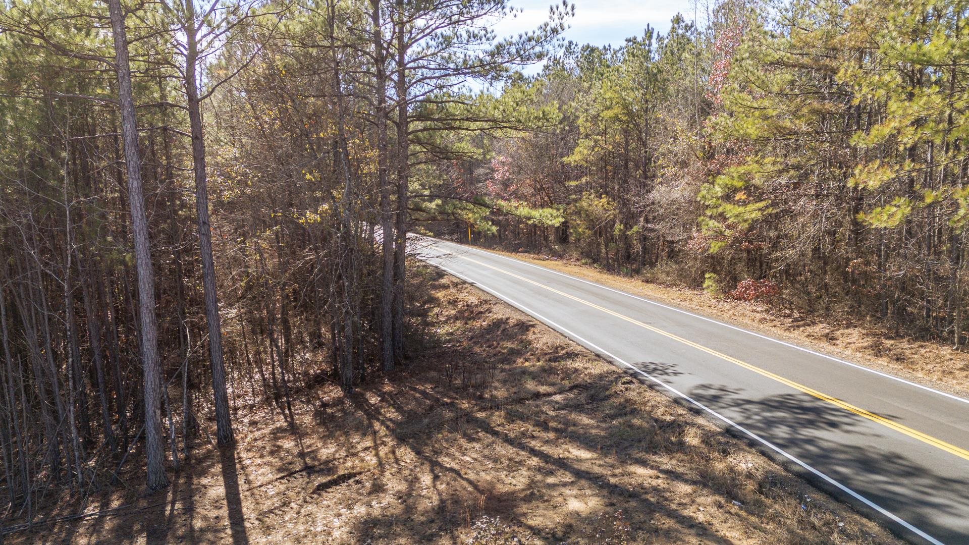 0 Kendrick & Hamburg Road Michie, TN 38357 - Photo 35 of 38 a view of a yard with trees in front of it