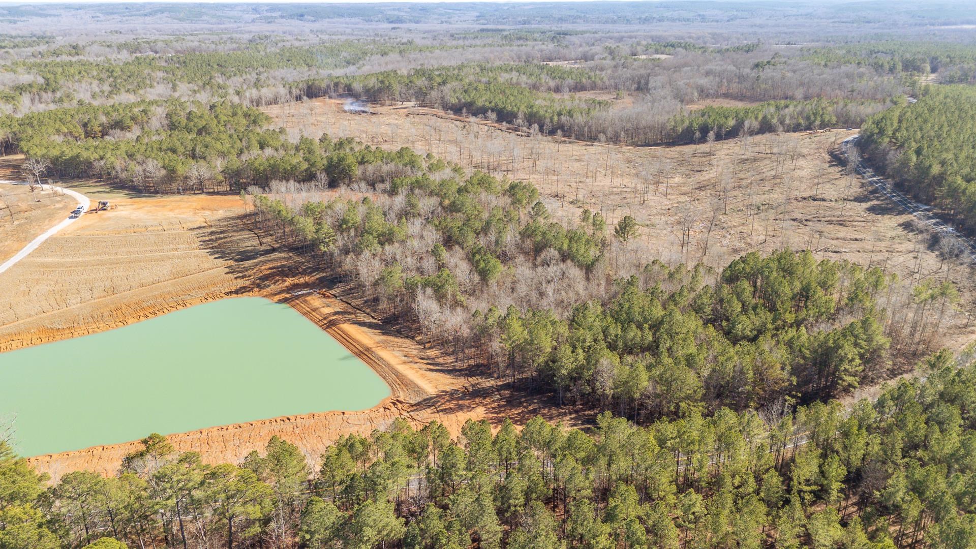 0 Kendrick & Hamburg Road Michie, TN 38357 - Photo 37 of 38 a view of a yard with a lake view