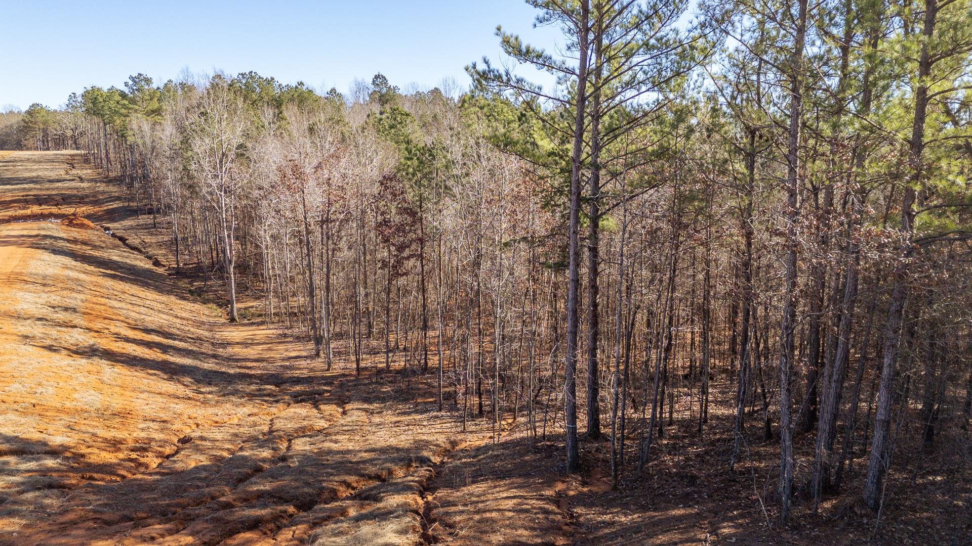 0 Kendrick & Hamburg Road Michie, TN 38357 - Photo 4 of 38 a view of yard