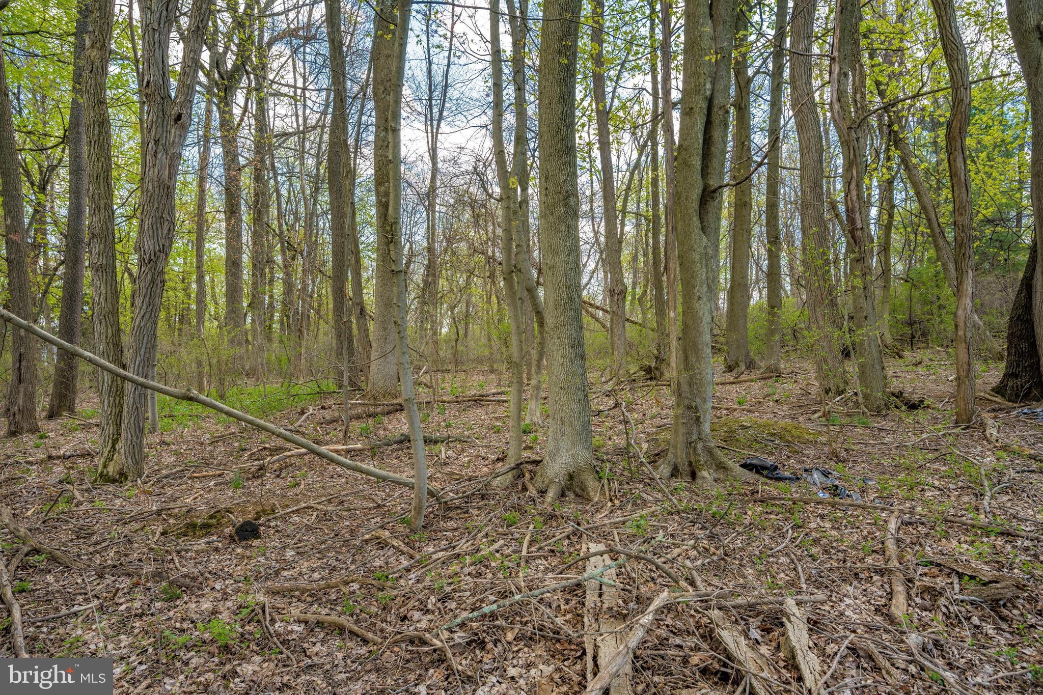 5816 Rowland Road Cascade, MD 21719 - Photo 54 of 74 Additional 1.13 Acres included