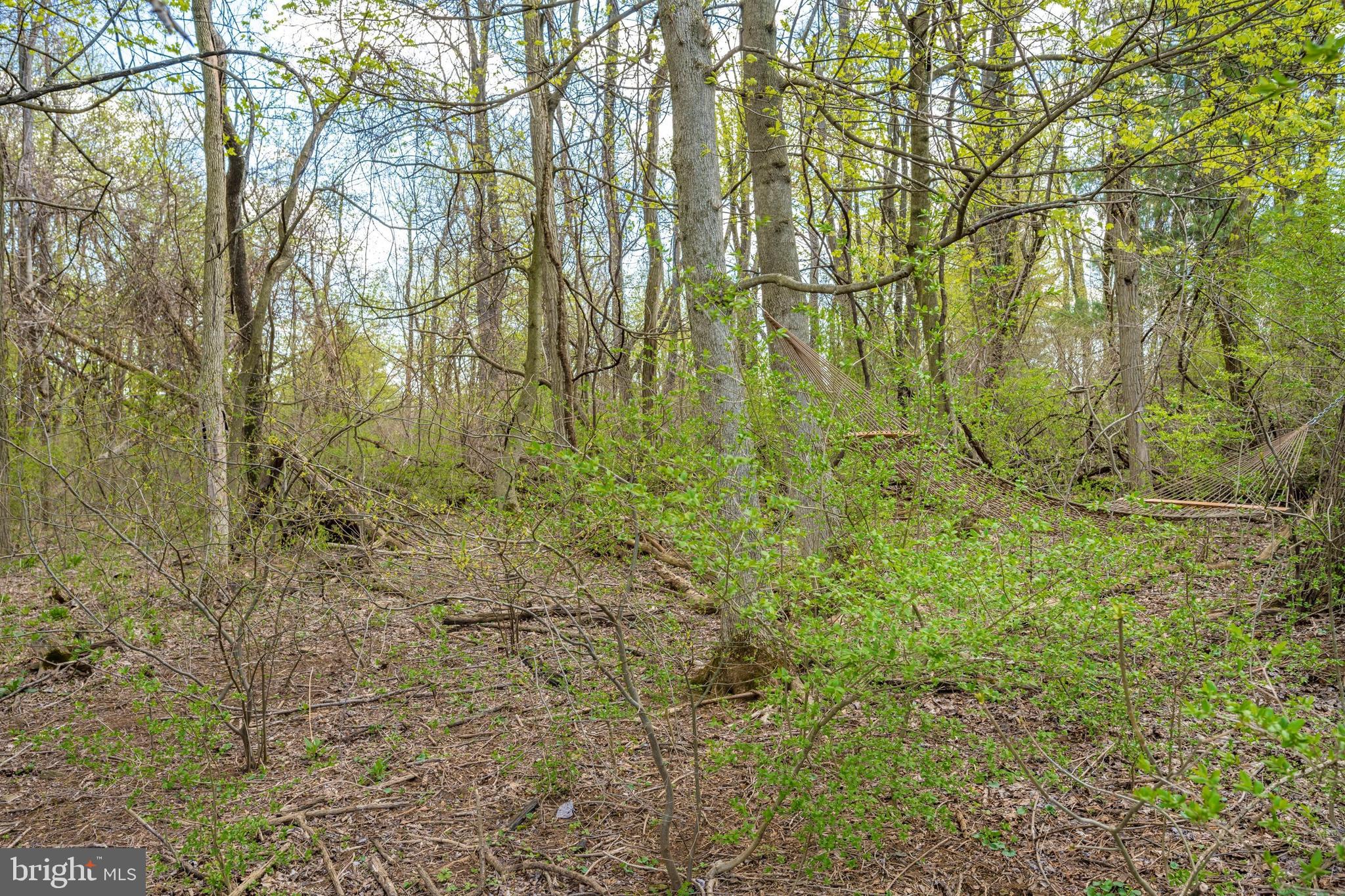 5816 Rowland Road Cascade, MD 21719 - Photo 56 of 74