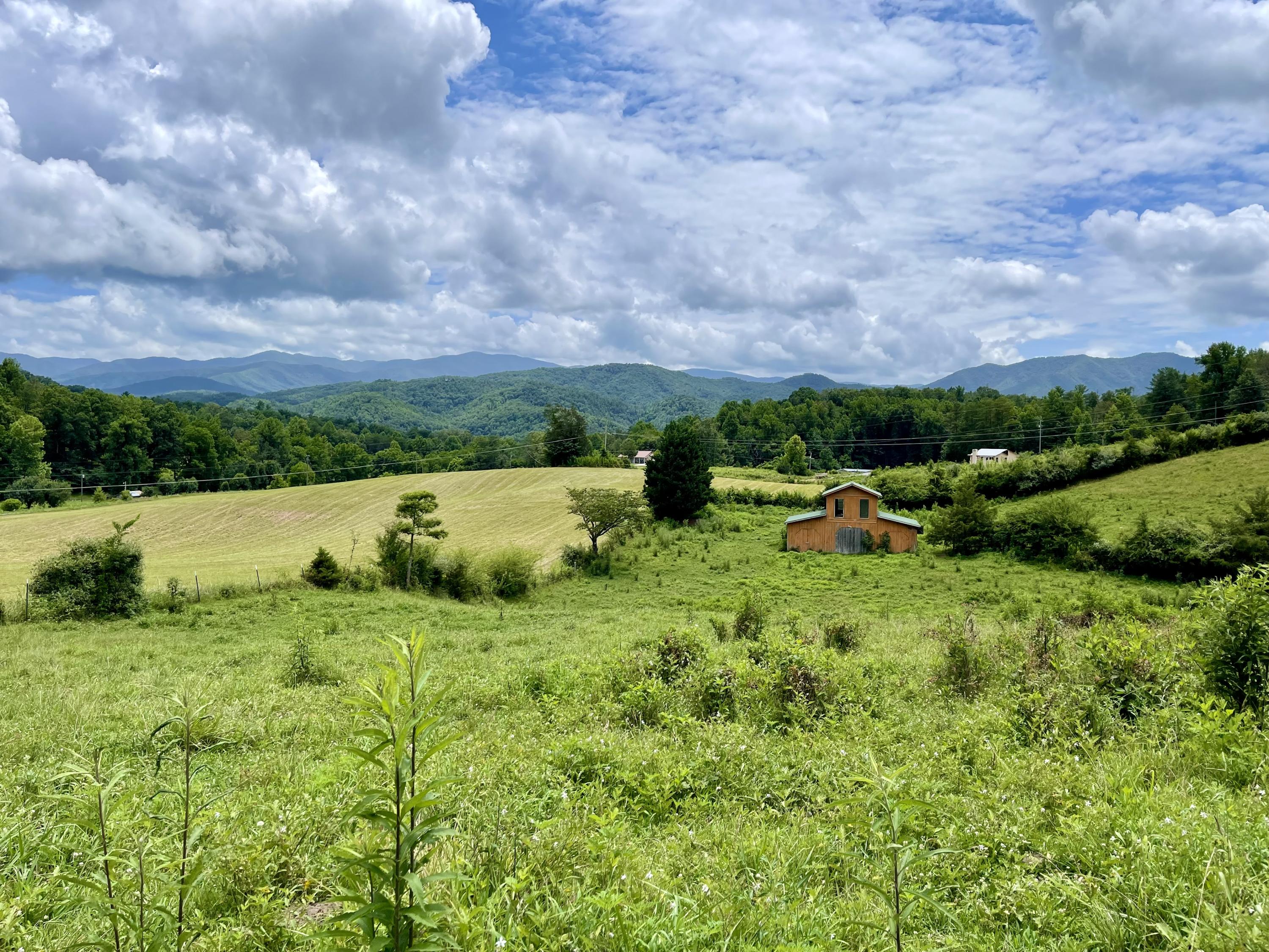 5.31-acres Rudd Hollow Road Townsend, TN 37882 - Photo 1 of 25 B6C951C9-607F-4419-AA88-C4A0E7B1CBC5