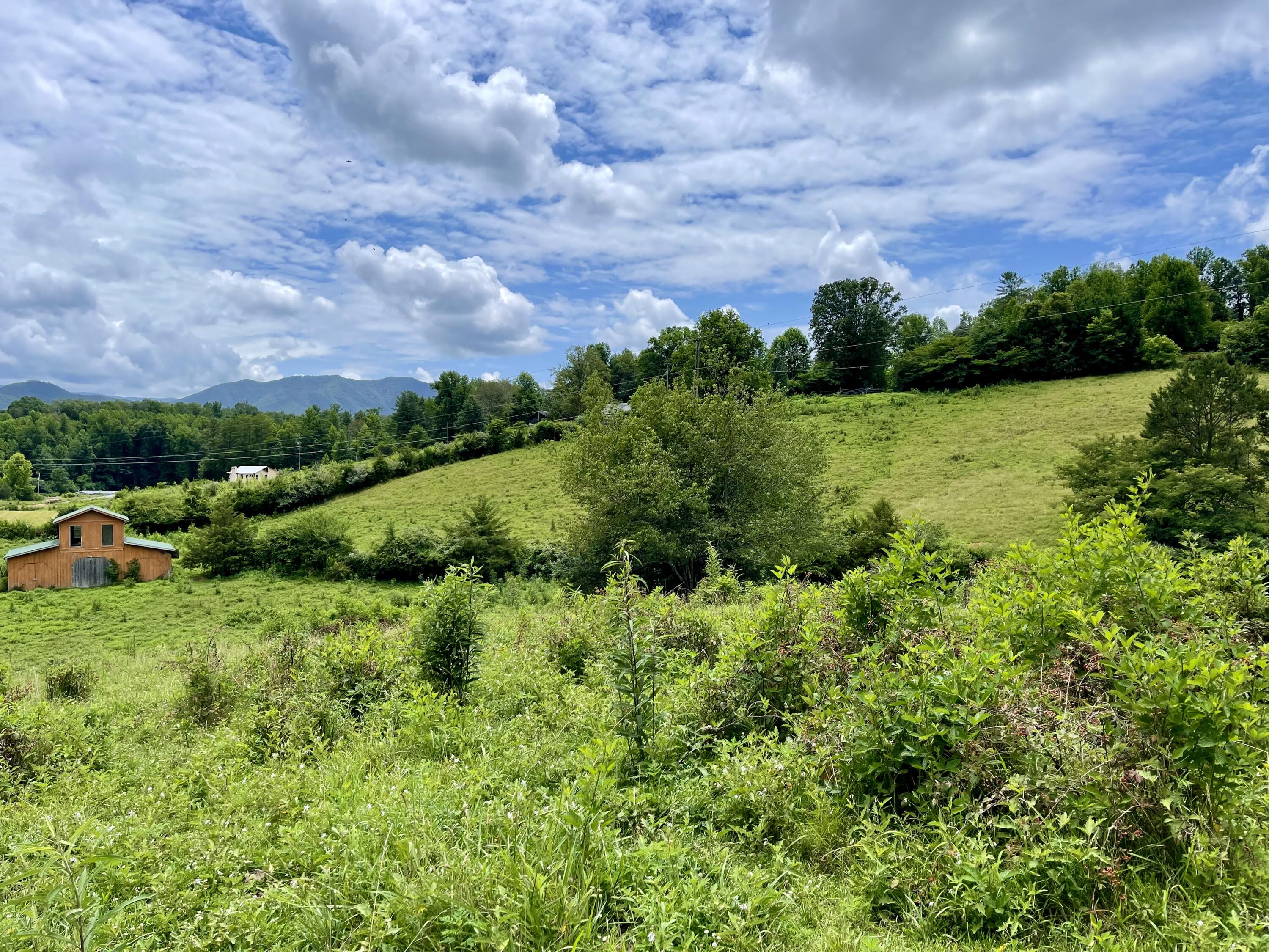 5.31-acres Rudd Hollow Road Townsend, TN 37882 - Photo 2 of 25 0E4CCB93-E4D8-43F2-9757-FE39C9ADCC5C