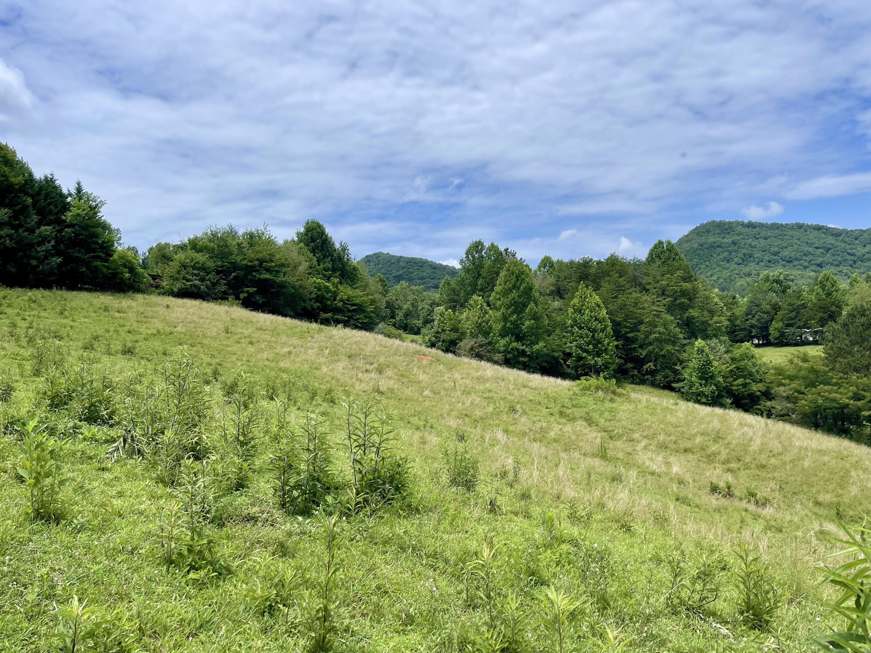 5.31-acres Rudd Hollow Road Townsend, TN 37882 - Photo 11 of 25 25085C23-C6EE-432E-A1CF-735F15EC7077