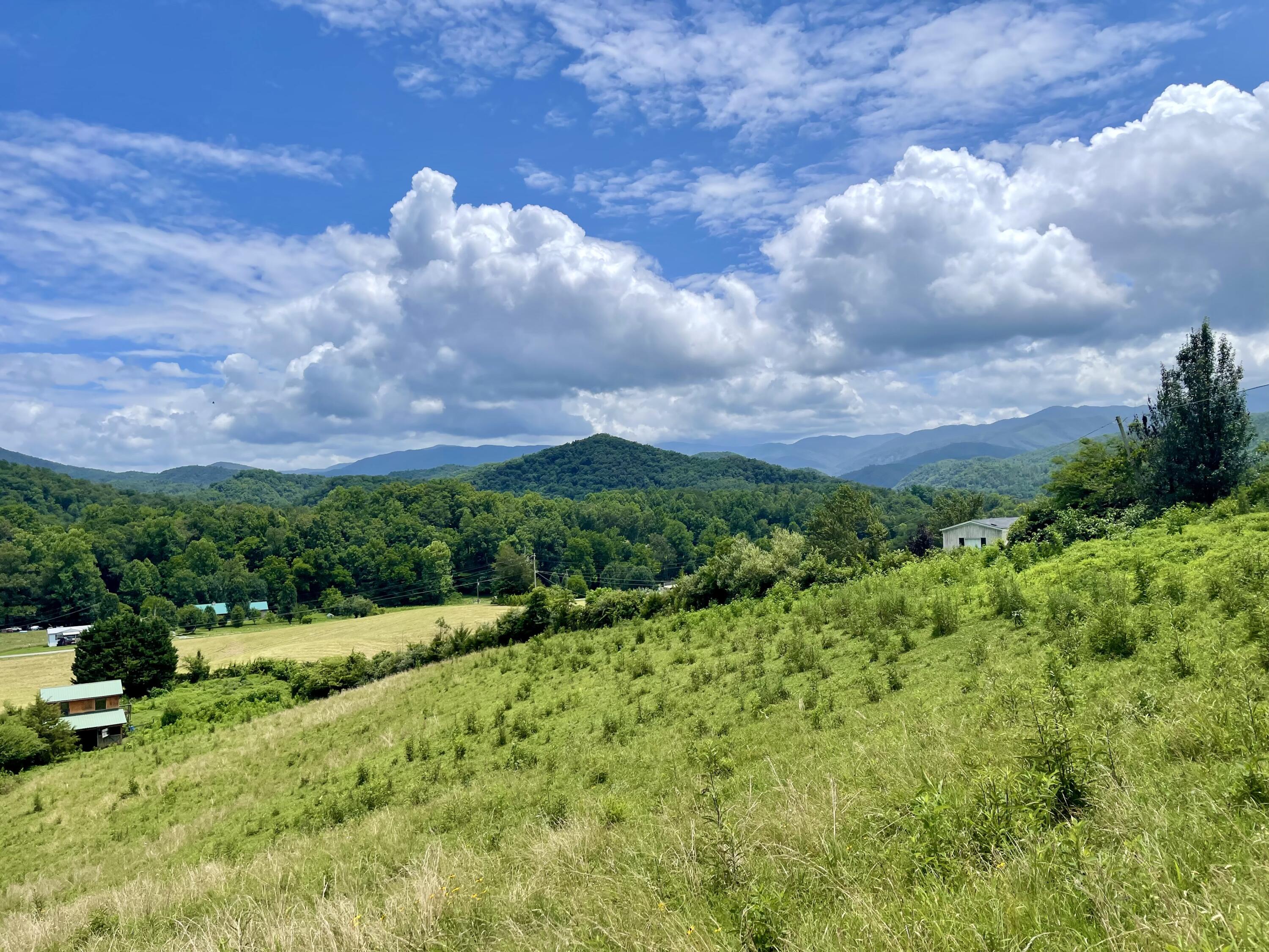 5.31-acres Rudd Hollow Road Townsend, TN 37882 - Photo 12 of 25 A6BD4E48-2C3A-4FCD-8275-2297C6E94616