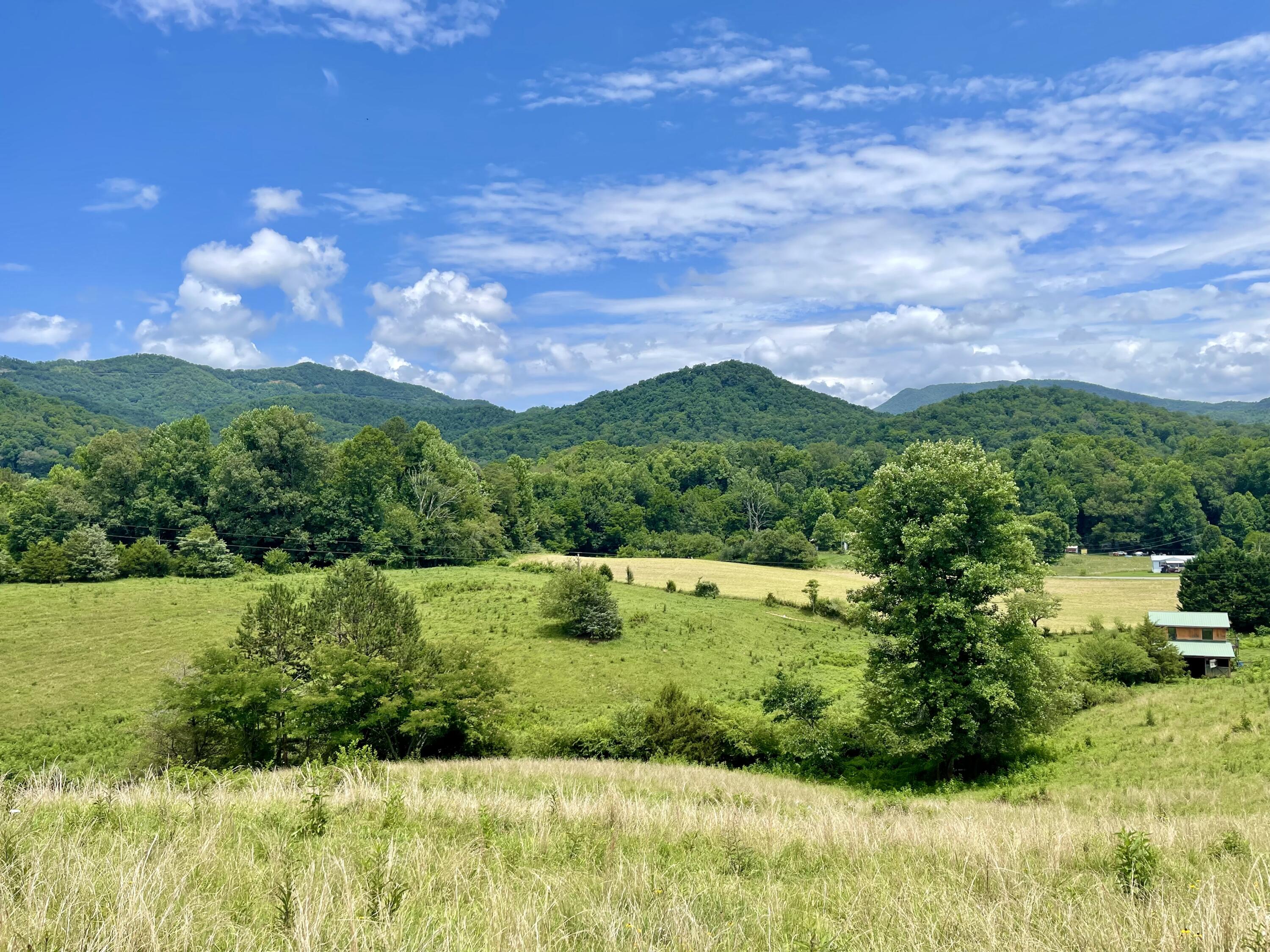 5.31-acres Rudd Hollow Road Townsend, TN 37882 - Photo 13 of 25 EC9BE7B4-9496-4AF8-924A-228CA13C2CFF