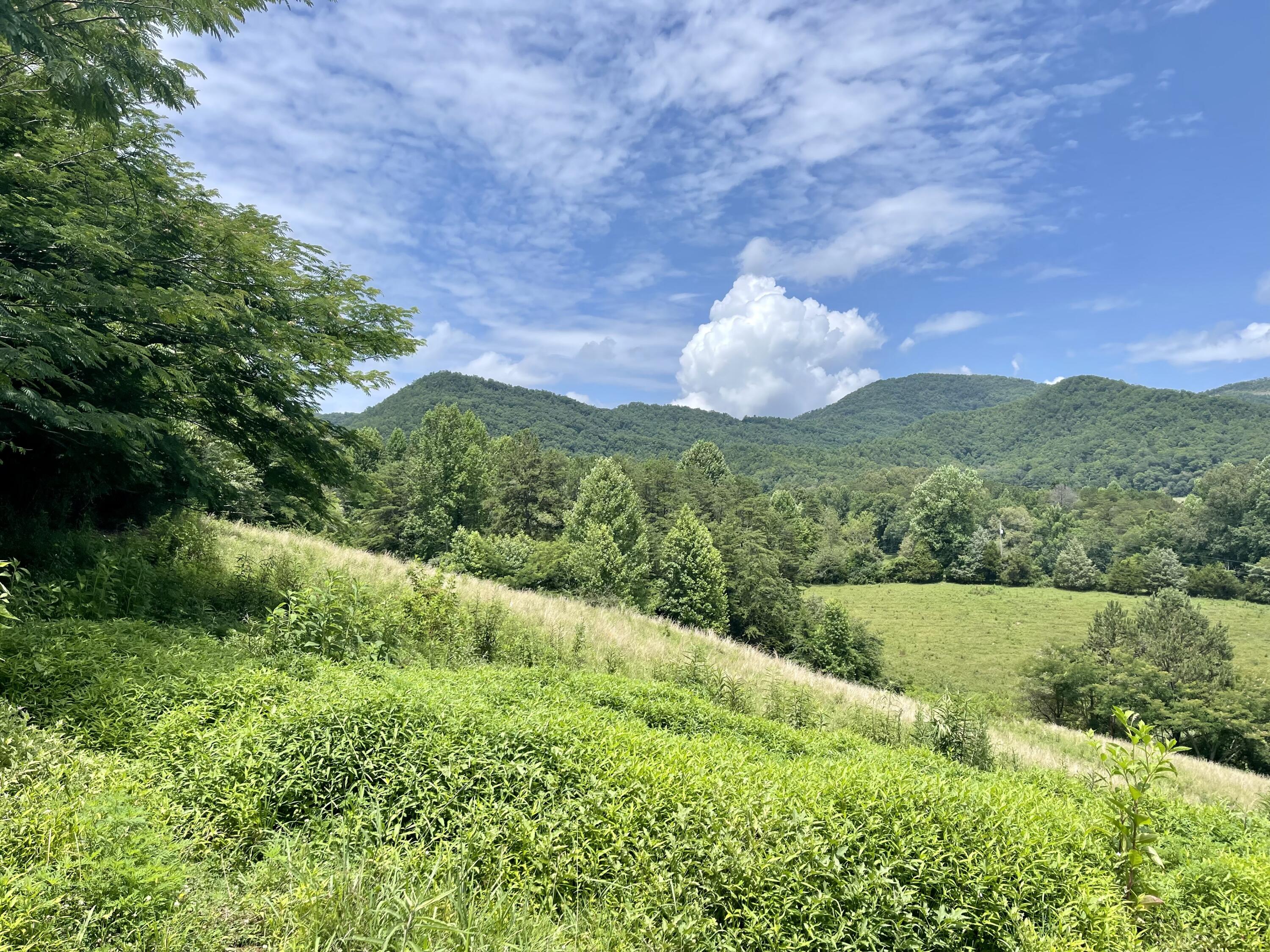 5.31-acres Rudd Hollow Road Townsend, TN 37882 - Photo 14 of 25 F55204F3-2601-4427-9108-C189AC30ED45