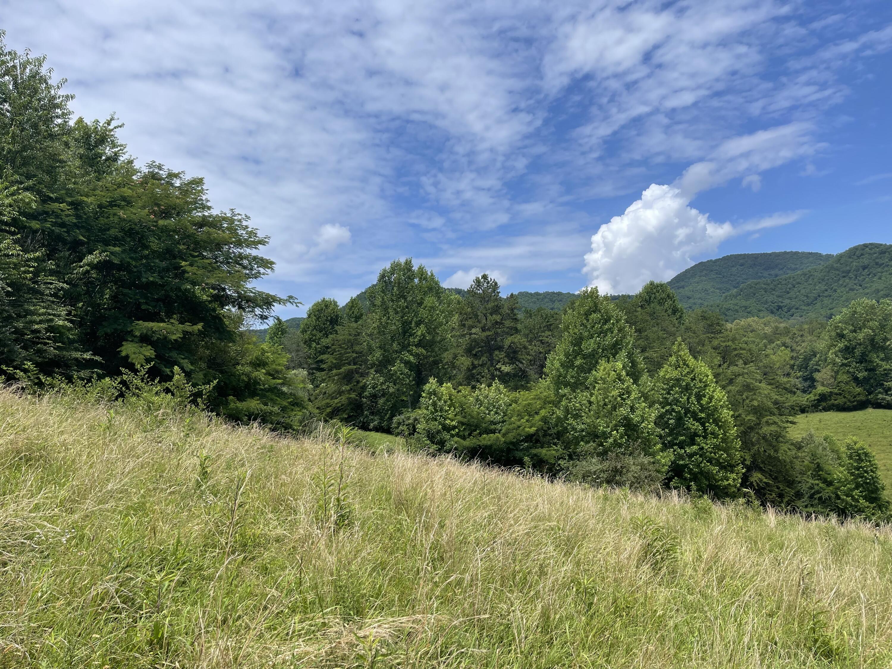 5.31-acres Rudd Hollow Road Townsend, TN 37882 - Photo 15 of 25 048CFACC-EFD1-4F9D-A408-0EF6F87C1F01