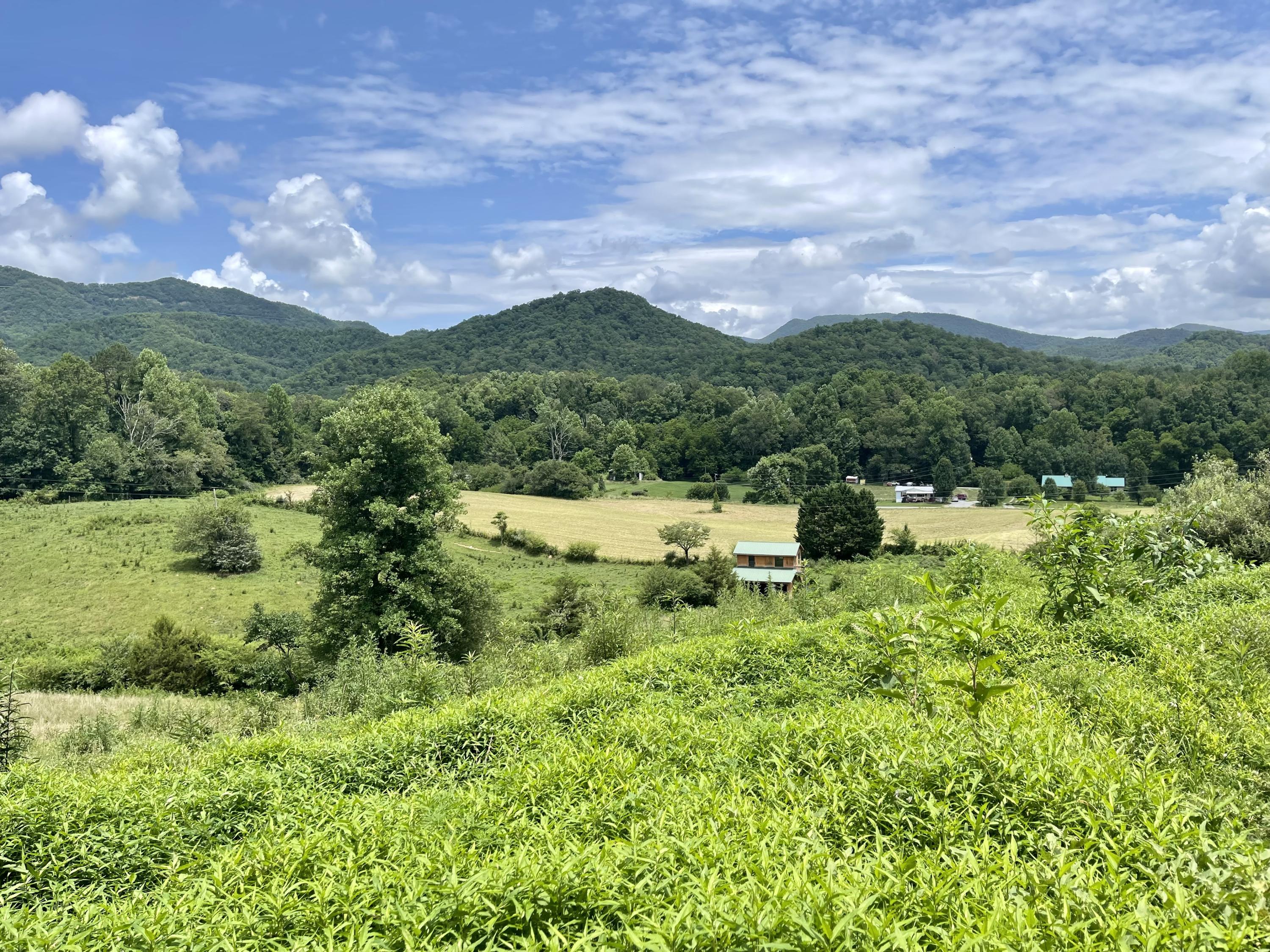 5.31-acres Rudd Hollow Road Townsend, TN 37882 - Photo 16 of 25 54BB2E9B-FAF6-451E-B845-294969C23E43