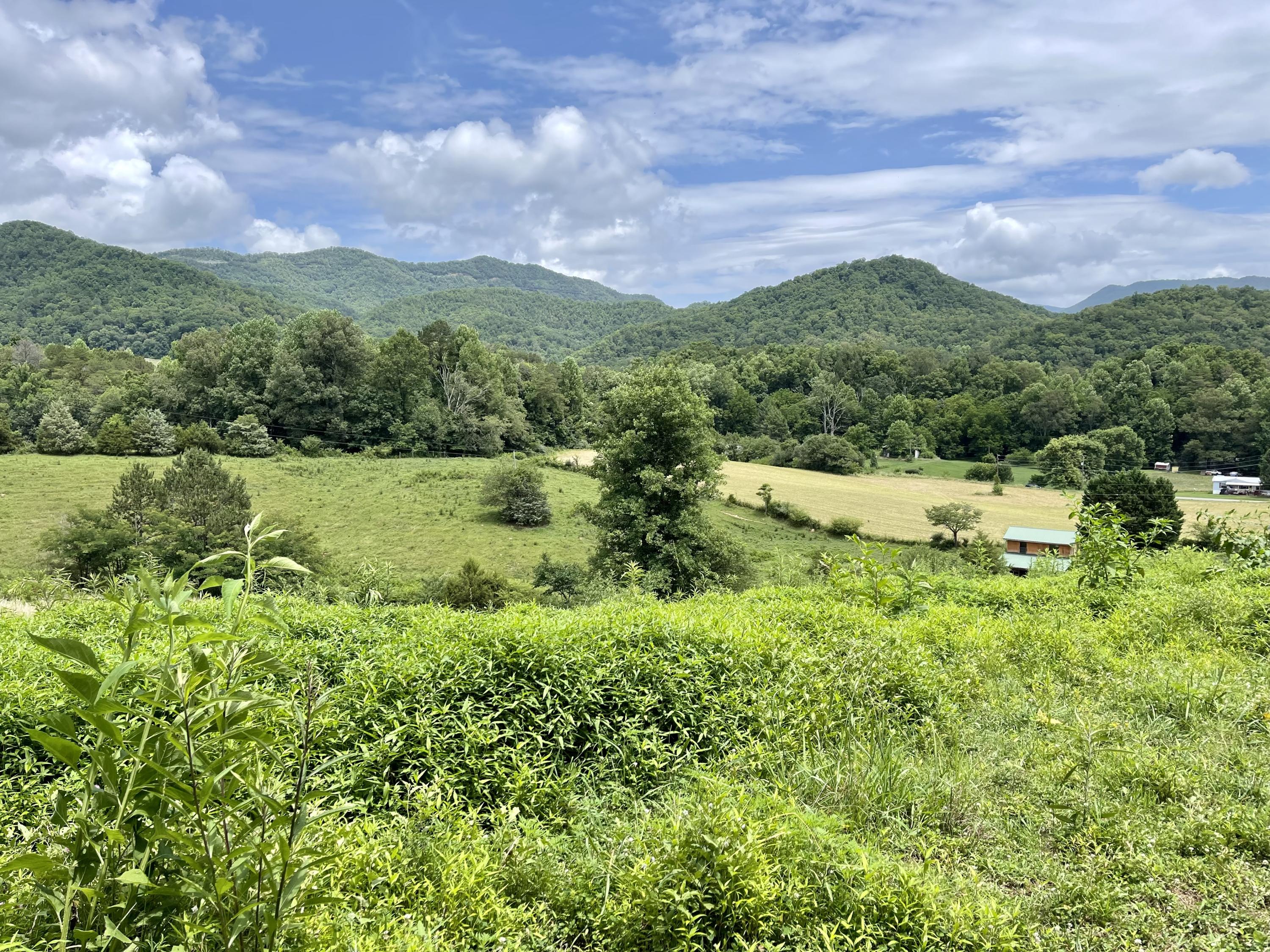 5.31-acres Rudd Hollow Road Townsend, TN 37882 - Photo 17 of 25 81BC5CB0-18C0-4F3C-98B2-20D7200251C0