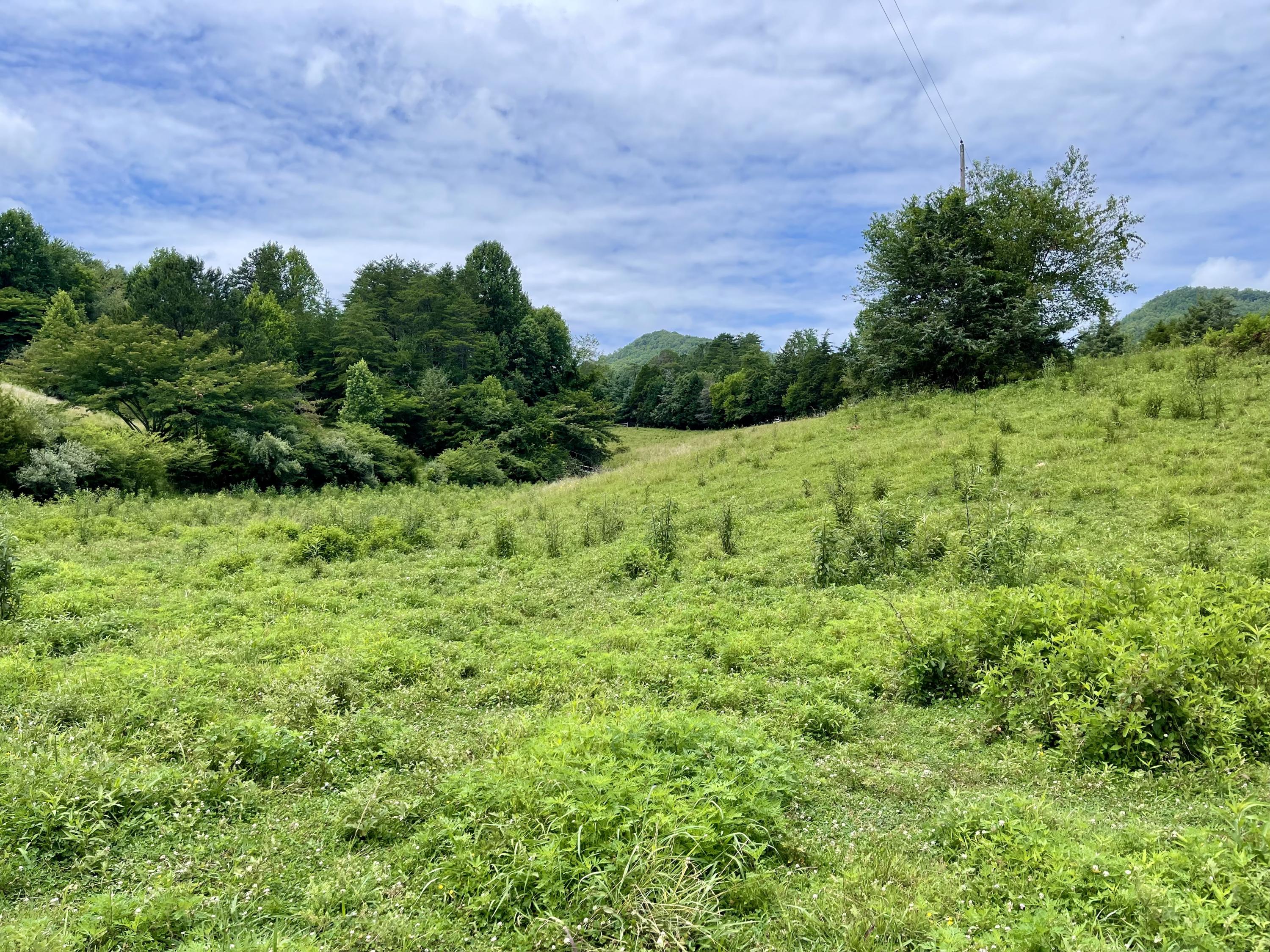 5.31-acres Rudd Hollow Road Townsend, TN 37882 - Photo 18 of 25 81152CDC-D203-4C06-BFB6-B8B810481245