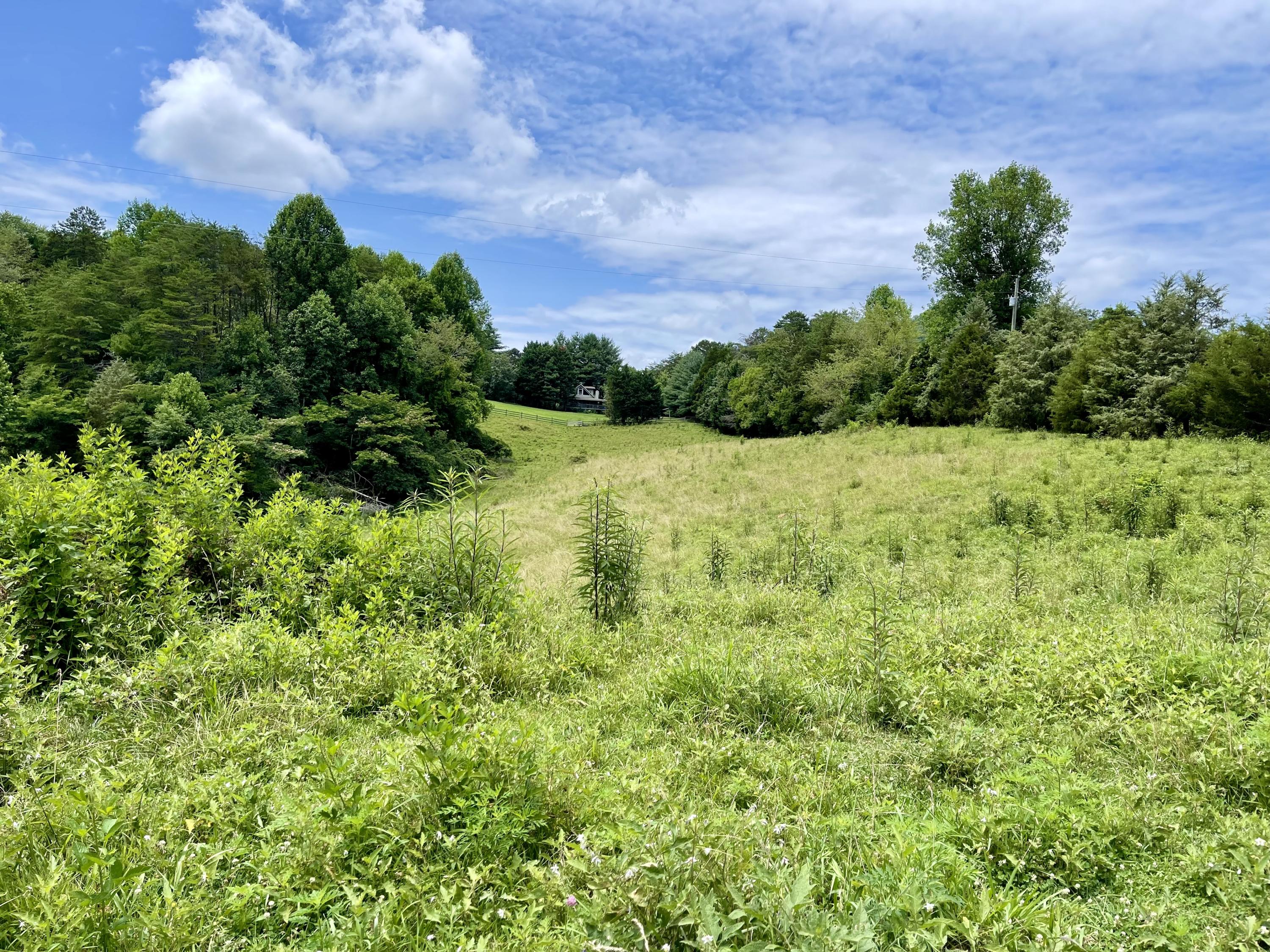 5.31-acres Rudd Hollow Road Townsend, TN 37882 - Photo 19 of 25 2A3BB708-69A1-4971-81C4-B87DBA1D2B5F