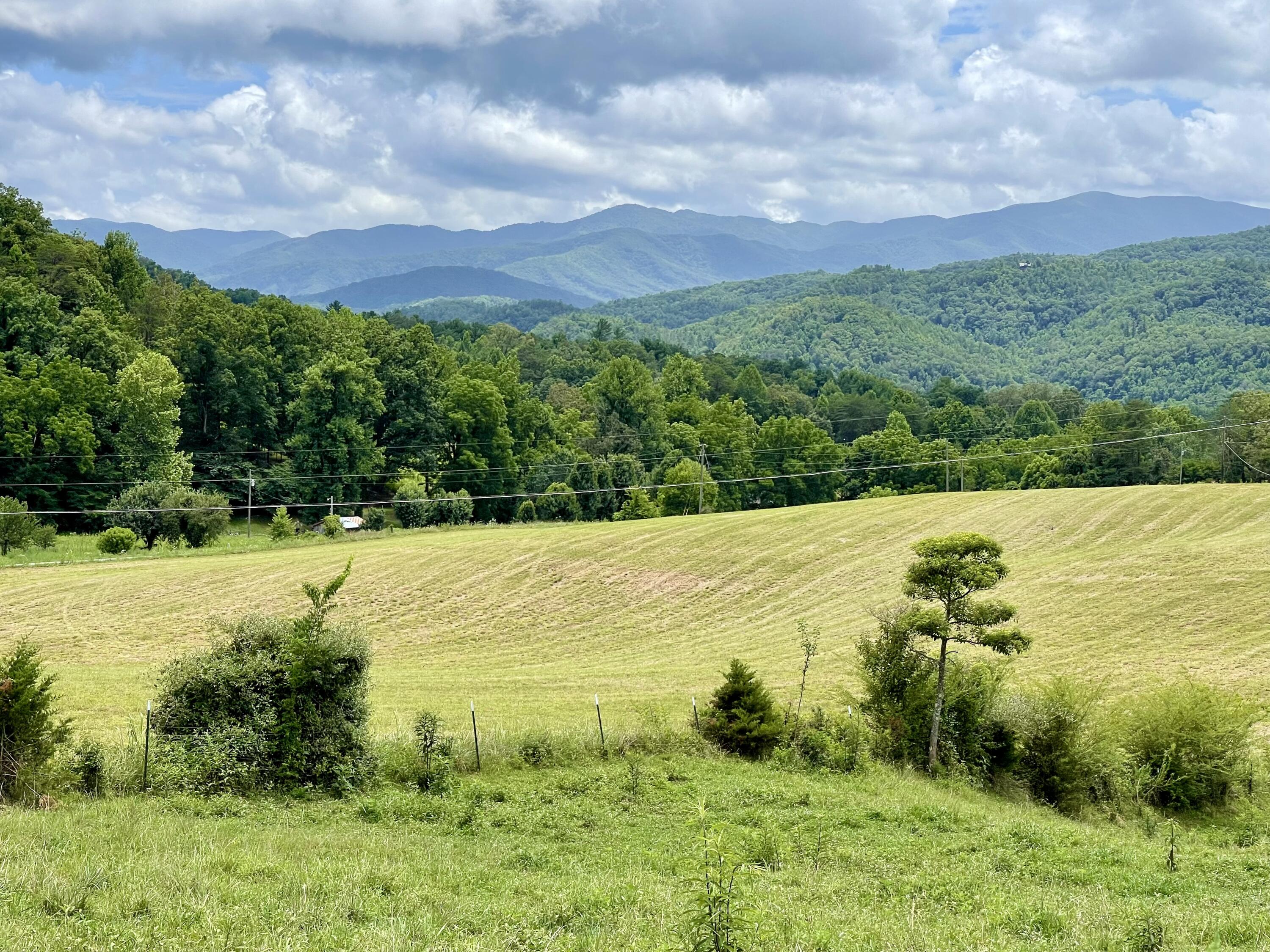 5.31-acres Rudd Hollow Road Townsend, TN 37882 - Photo 20 of 25 9409C028-7BF4-406F-A943-8EBCEA99F930