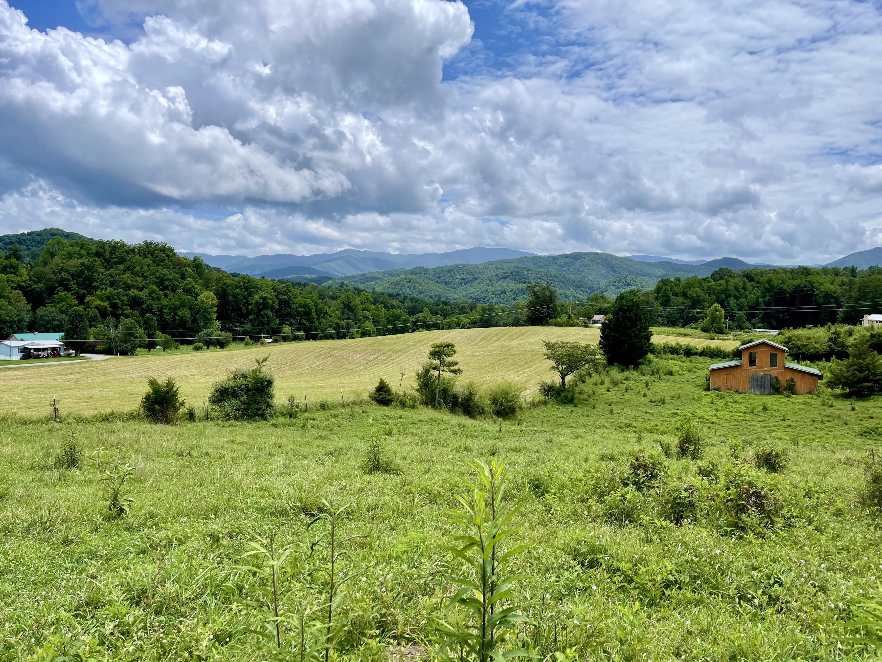 5.31-acres Rudd Hollow Road Townsend, TN 37882 - Photo 3 of 25 0A66CBF2-7426-4546-AC83-E96D28E56DB8