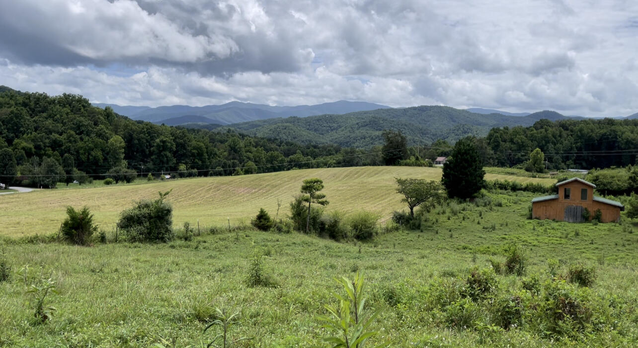 5.31-acres Rudd Hollow Road Townsend, TN 37882 - Photo 4 of 25 0C3EE006-7C88-4F96-AF42-E527B4CAAAC8
