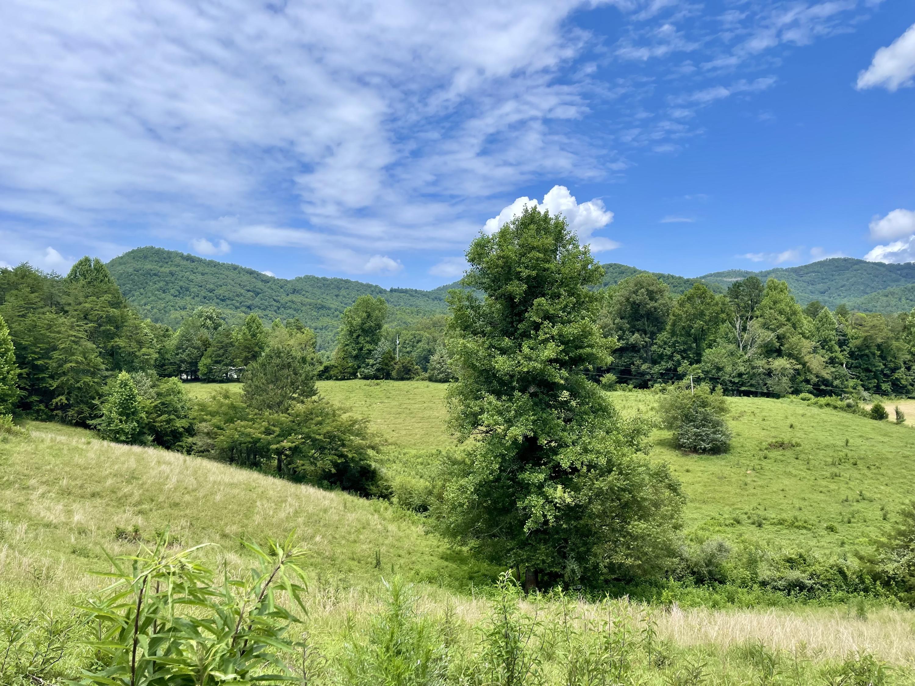 5.31-acres Rudd Hollow Road Townsend, TN 37882 - Photo 9 of 25 B8BF8206-D588-43AC-A3D6-26110EB014C3