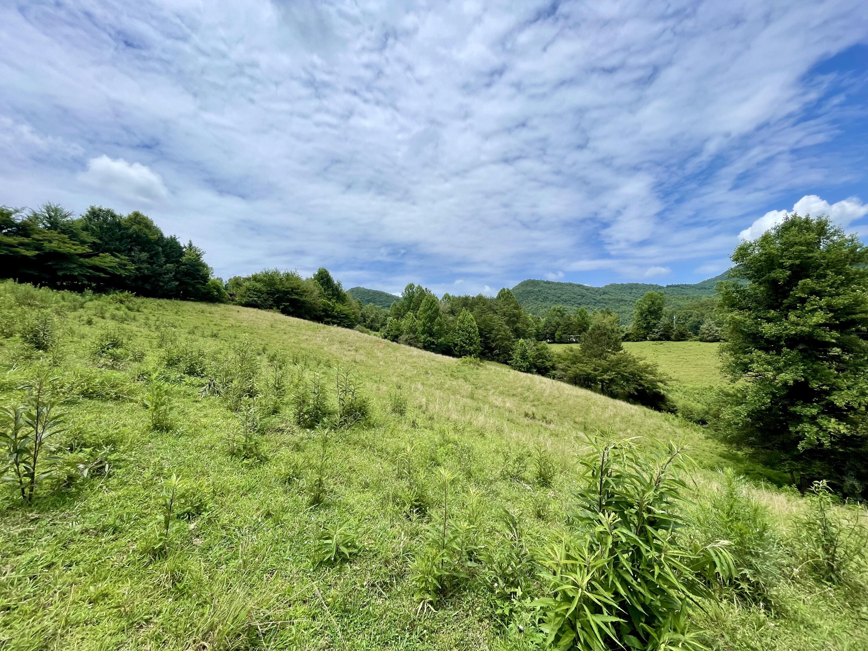 5.31-acres Rudd Hollow Road Townsend, TN 37882 - Photo 10 of 25 33C0A026-40AF-4E55-A11A-EE04CA779731