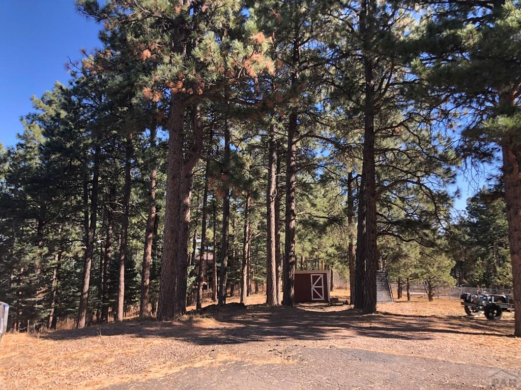 8511 Cuerna Verde Road Rye, CO 81069 - Photo 4 of 43