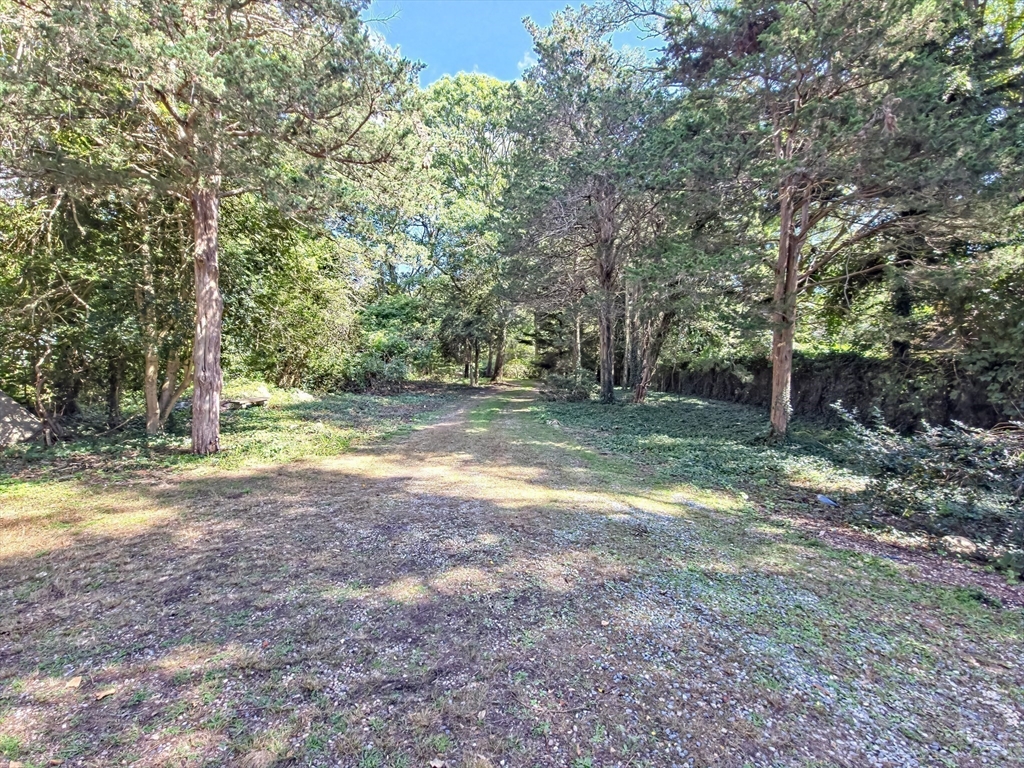 10 Squeteague Harbor Road Bourne, MA 02534 - Photo 35 of 41 a view of a yard with a tree