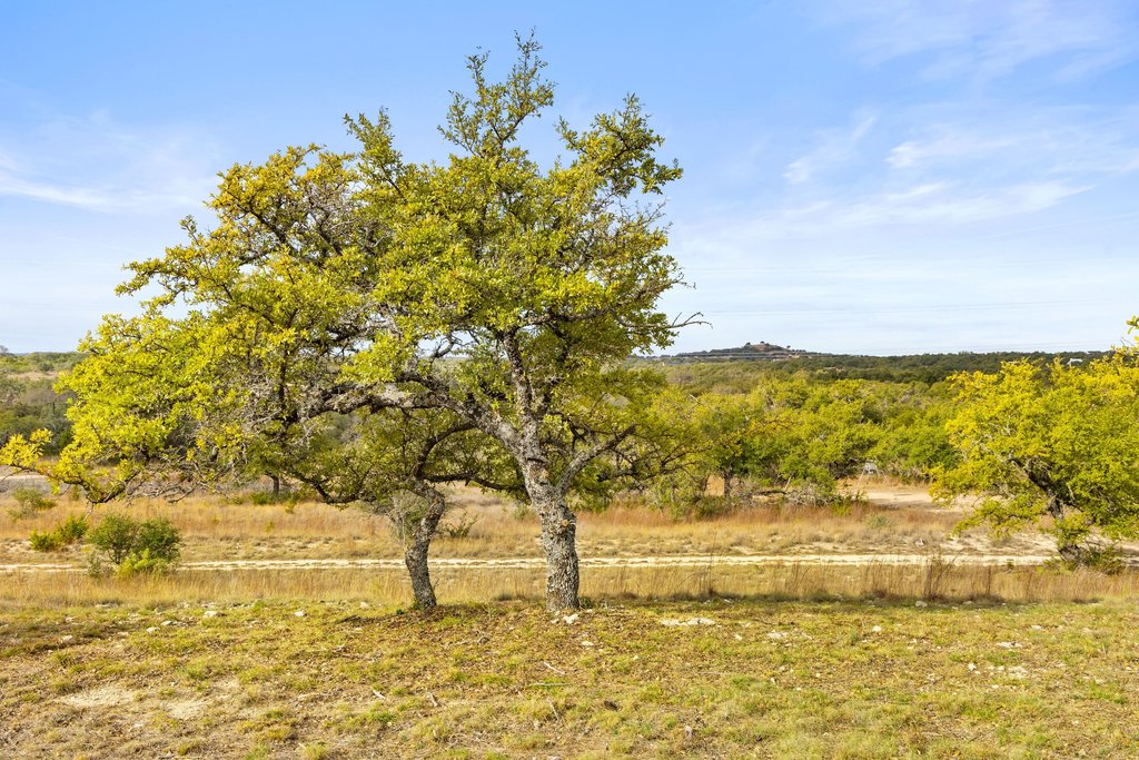 232 Crooked Oak Round Mountain, TX 78663 - Photo 4 of 40