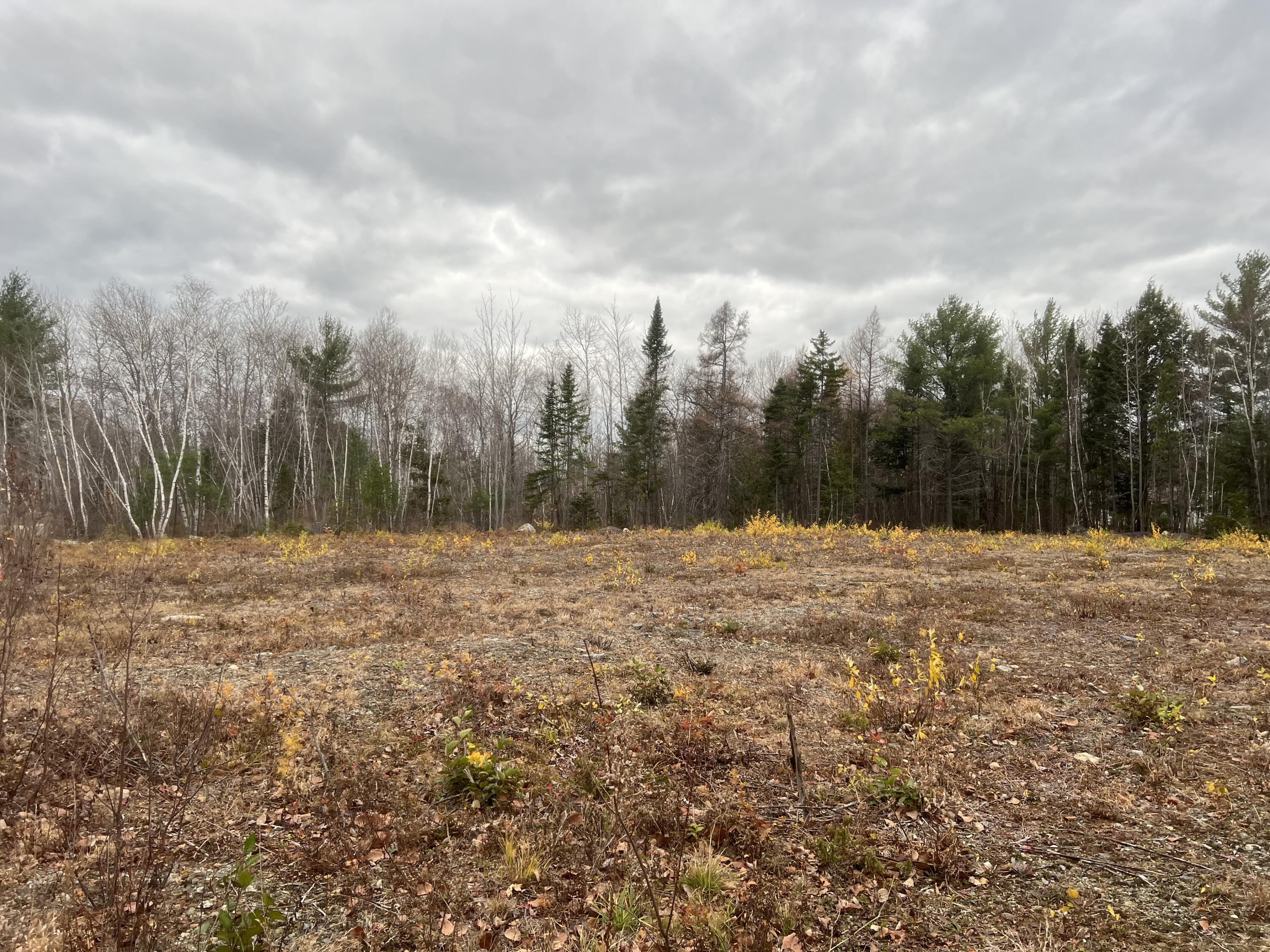 Lot # Fern Street Millinocket, ME 04462 - Photo 8 of 9 IMG_1727