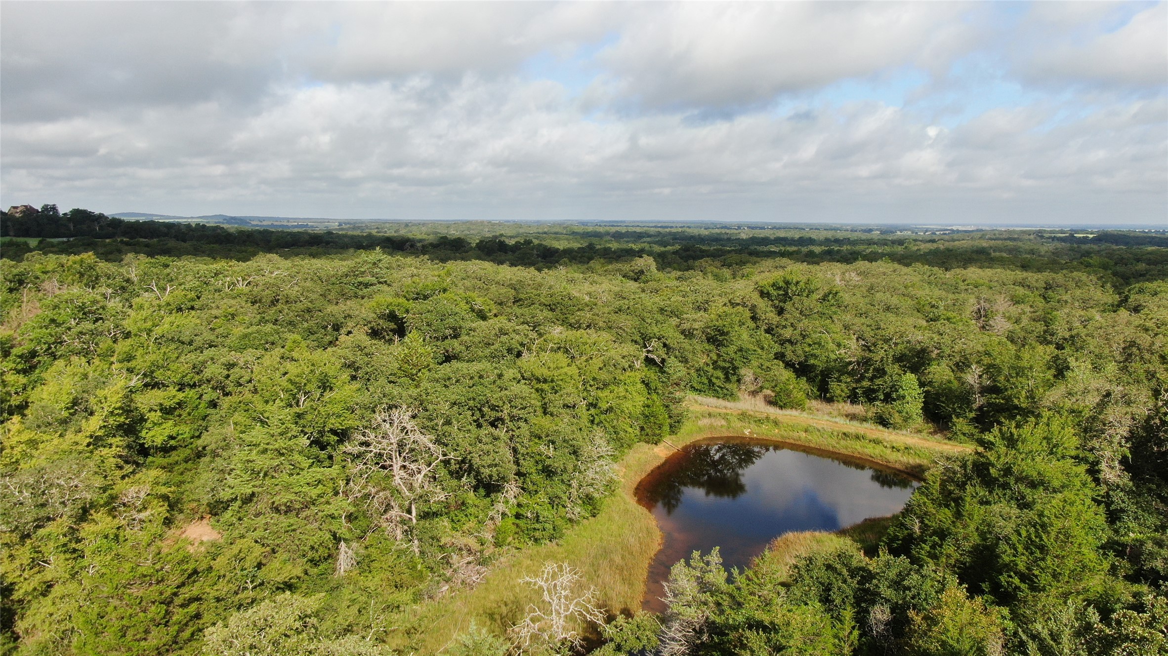 1004 22 Hills Road Gause, TX 77857 - Photo 19 of 37 An aerial perspective reveals a private pond nestled amidst dense, verdant woodlands, offering serene nature views.
