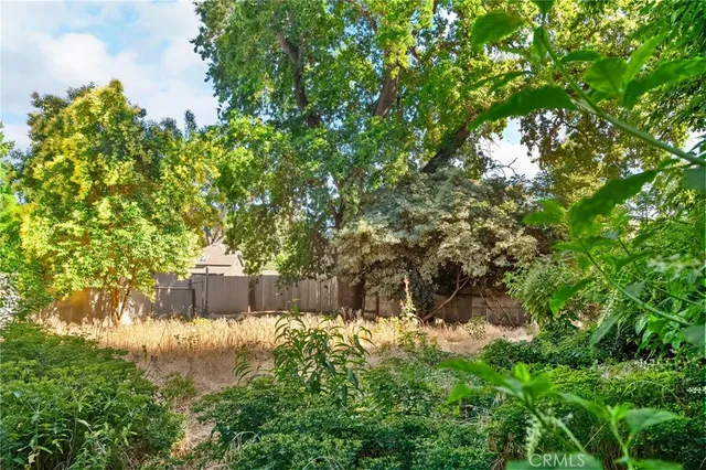 a house with a tree in front of it