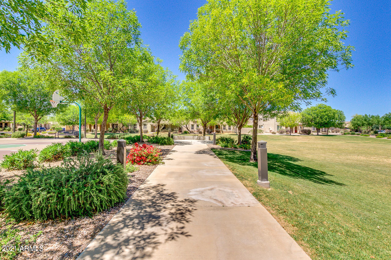 2835 East Harrison Street Gilbert, AZ 85295 - Photo 38 of 52 73-Harrison