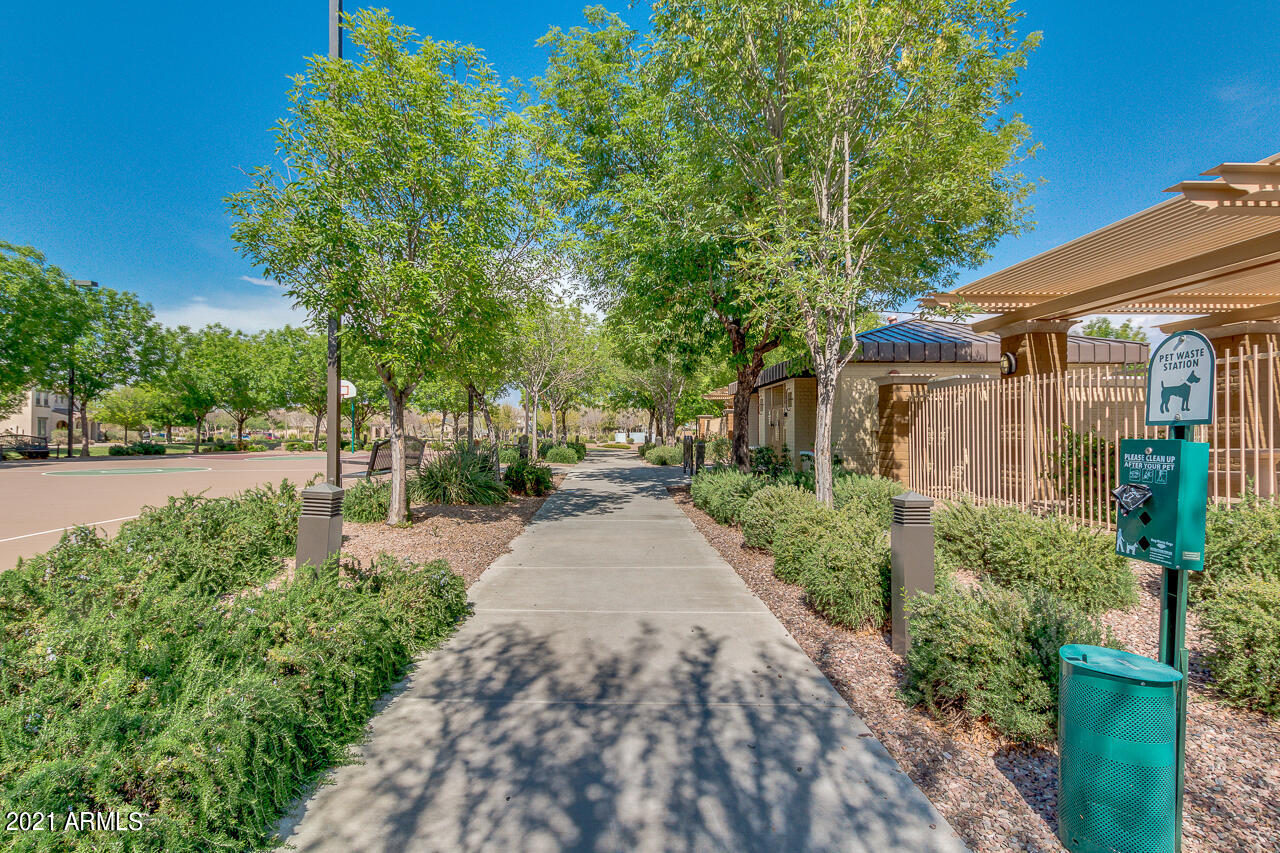 2835 East Harrison Street Gilbert, AZ 85295 - Photo 40 of 52 55-Harrison