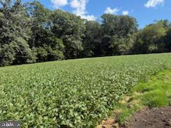 Mt Carmel Road Parkton, MD 21120 - Photo 8 of 15 Gallery Image 8