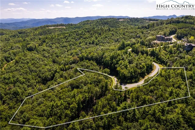 a view of a lush green field with mountains in the background