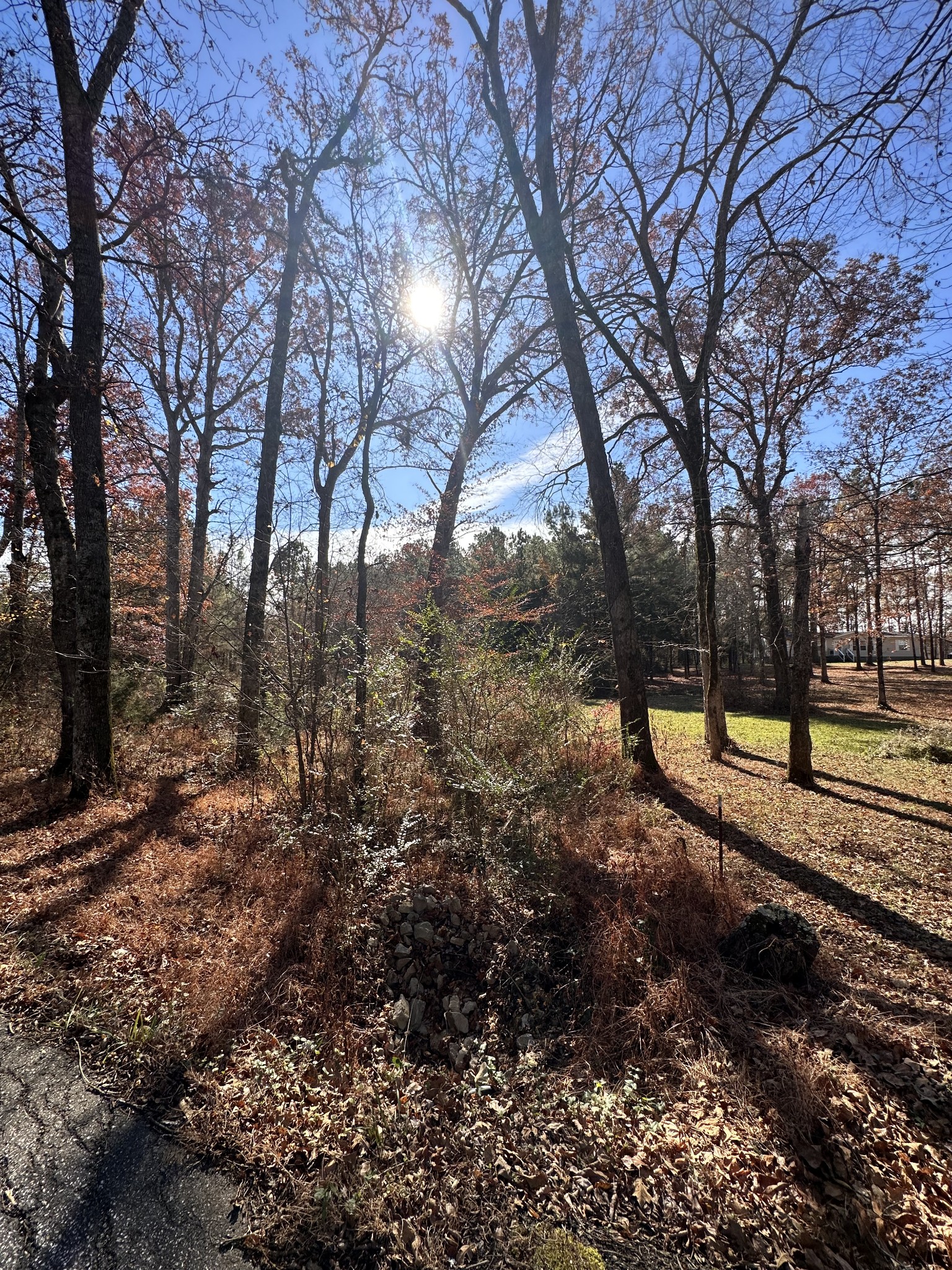 5579 Petigap Road Morrison, TN 37357 - Photo 7 of 16 a view of a yard with lots of green space