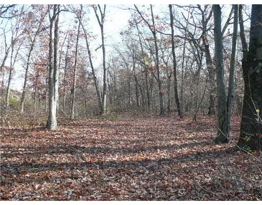 57424 Pear Road South Bend, IN 46619 - Photo 7 of 9 Gallery Image 7