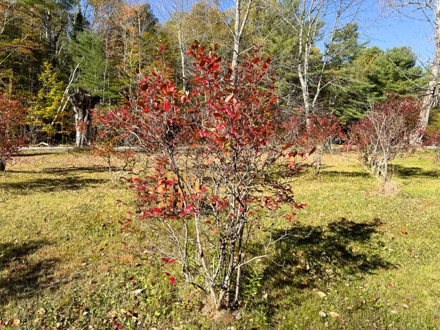 $350,000 | 397 West Old Main Road, Lowell, ME 04493