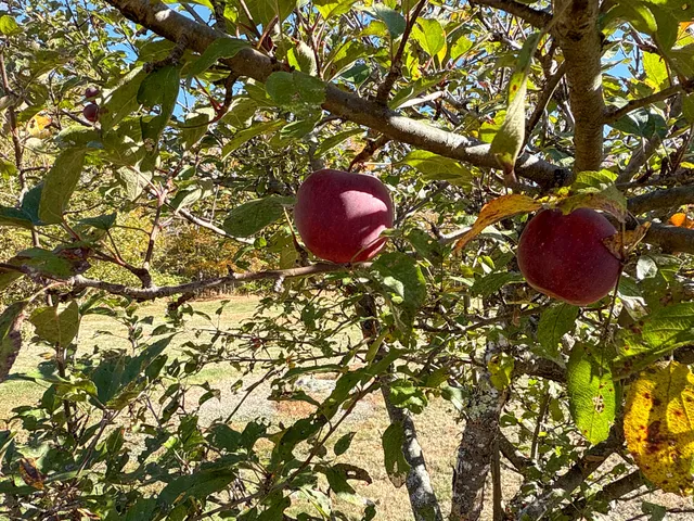 $350,000 | 397 West Old Main Road, Lowell, ME 04493