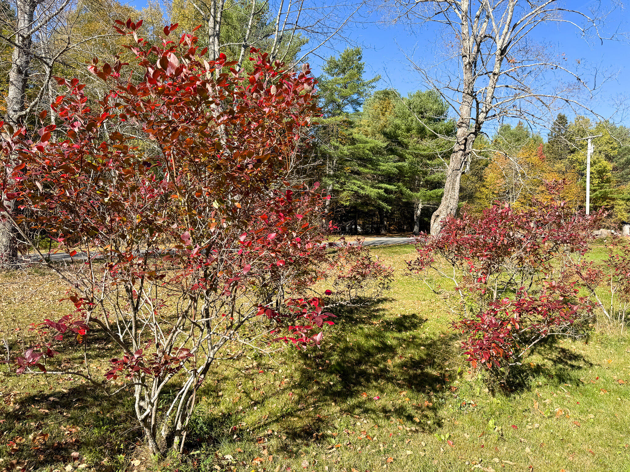 397 West Old Main Road Lowell, ME 04493 - Photo 30 of 33 31
