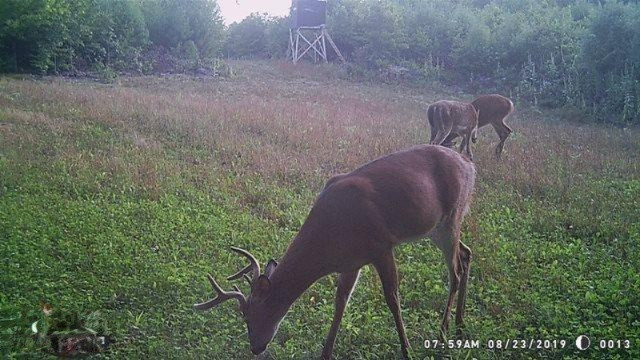 0 Kickland Road Gowen, MI 49326 - Photo 23 of 31 082319